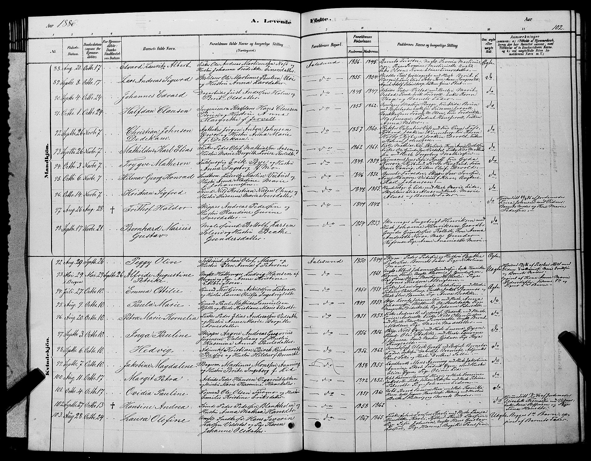 Ministerialprotokoller, klokkerbøker og fødselsregistre - Møre og Romsdal, AV/SAT-A-1454/529/L0466: Parish register (copy) no. 529C03, 1878-1888, p. 102