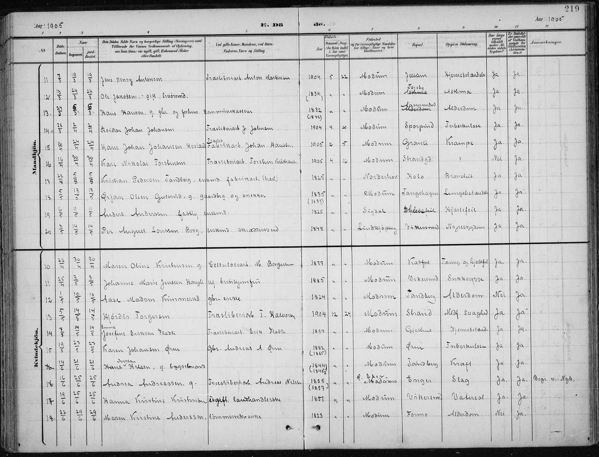 Modum kirkebøker, AV/SAKO-A-234/F/Fa/L0013: Parish register (official) no. 13, 1899-1907, p. 219