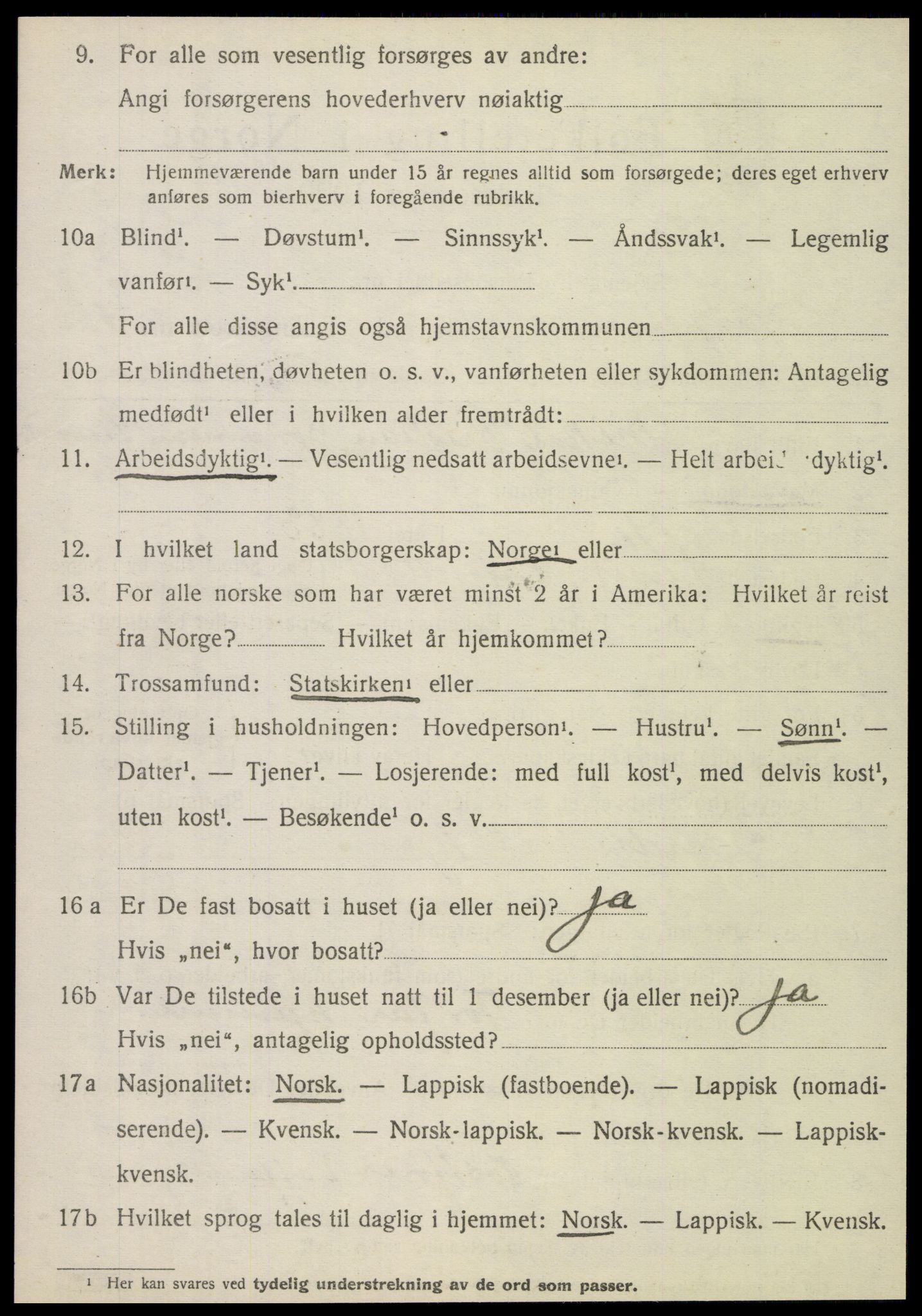 SAT, 1920 census for Hattfjelldal, 1920, p. 953