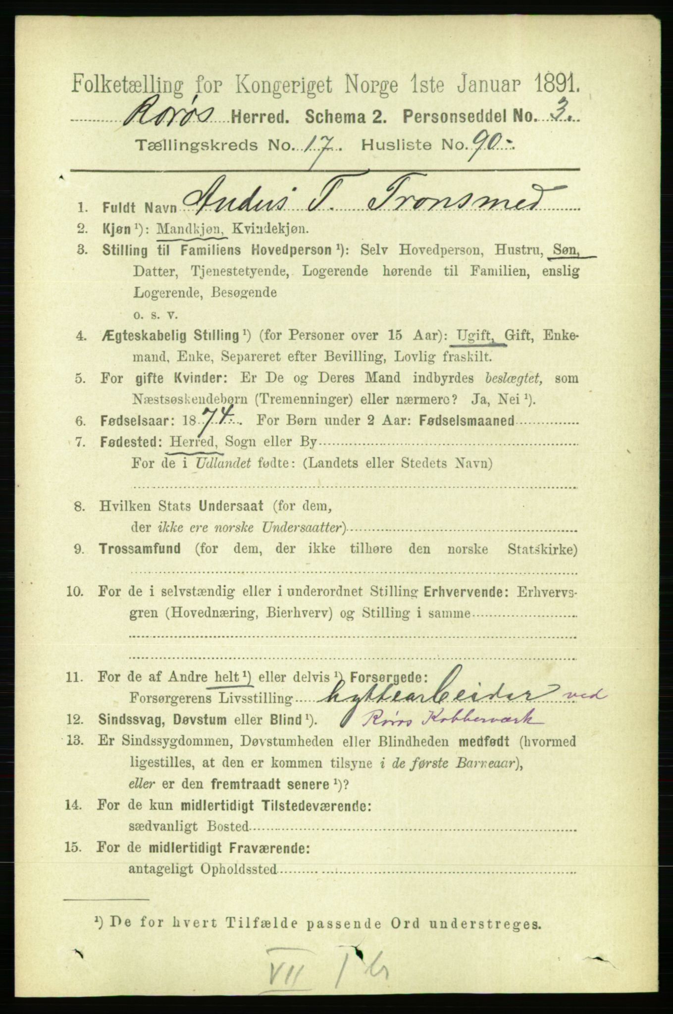 RA, 1891 census for 1640 Røros, 1891, p. 4792