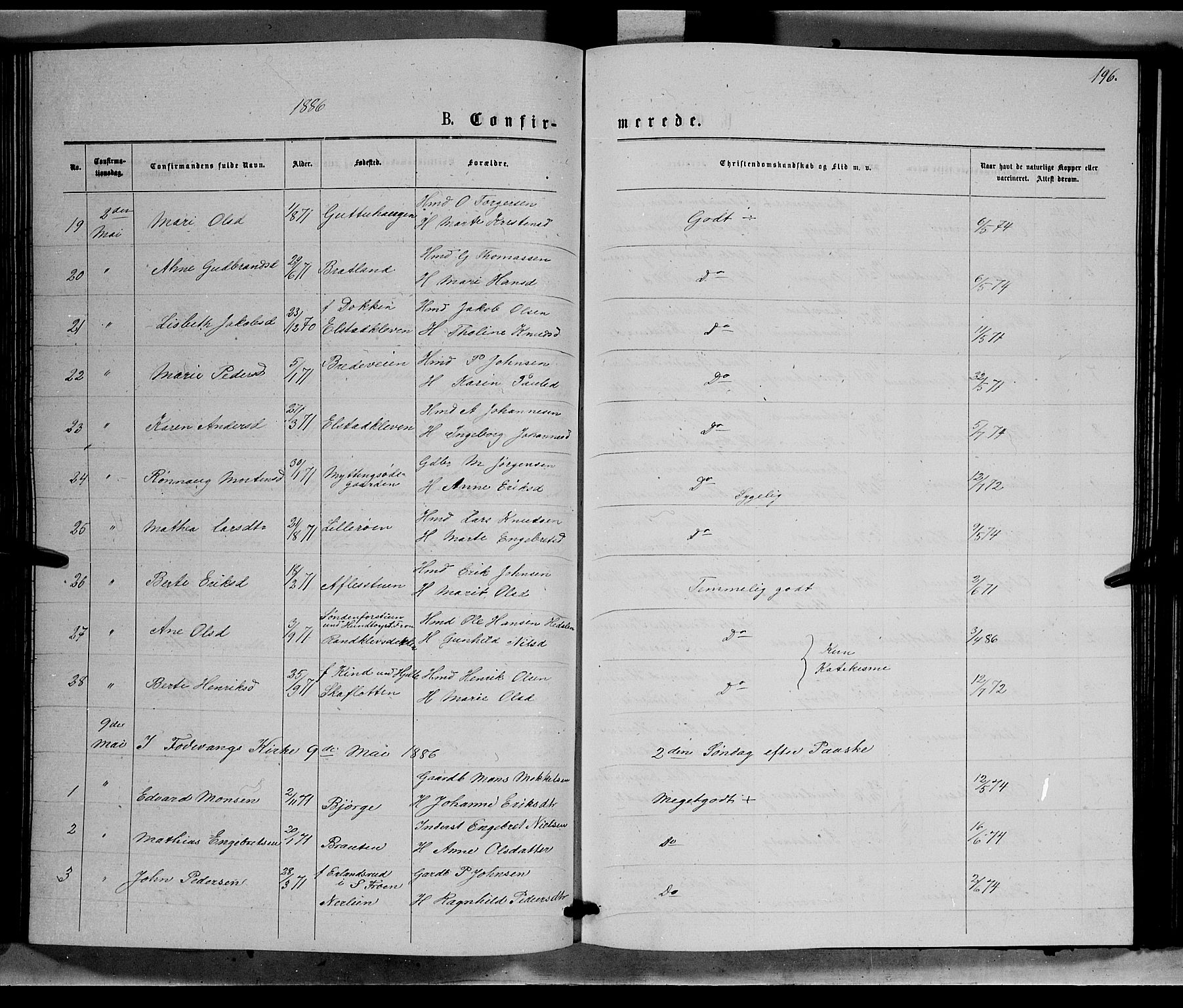 Ringebu prestekontor, AV/SAH-PREST-082/H/Ha/Hab/L0006: Parish register (copy) no. 6, 1880-1898, p. 196