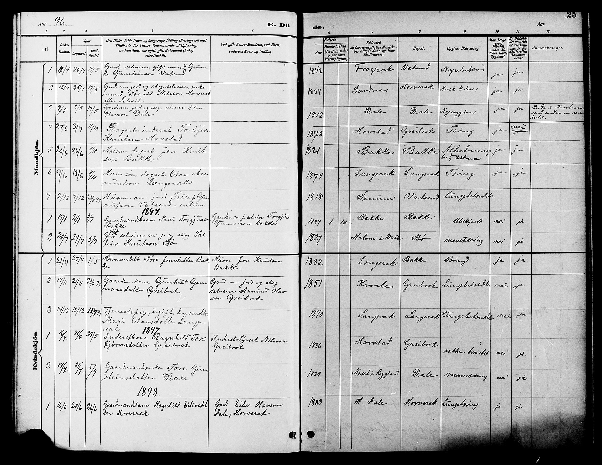 Bygland sokneprestkontor, SAK/1111-0006/F/Fb/Fbd/L0002: Parish register (copy) no. B 2, 1894-1909, p. 25