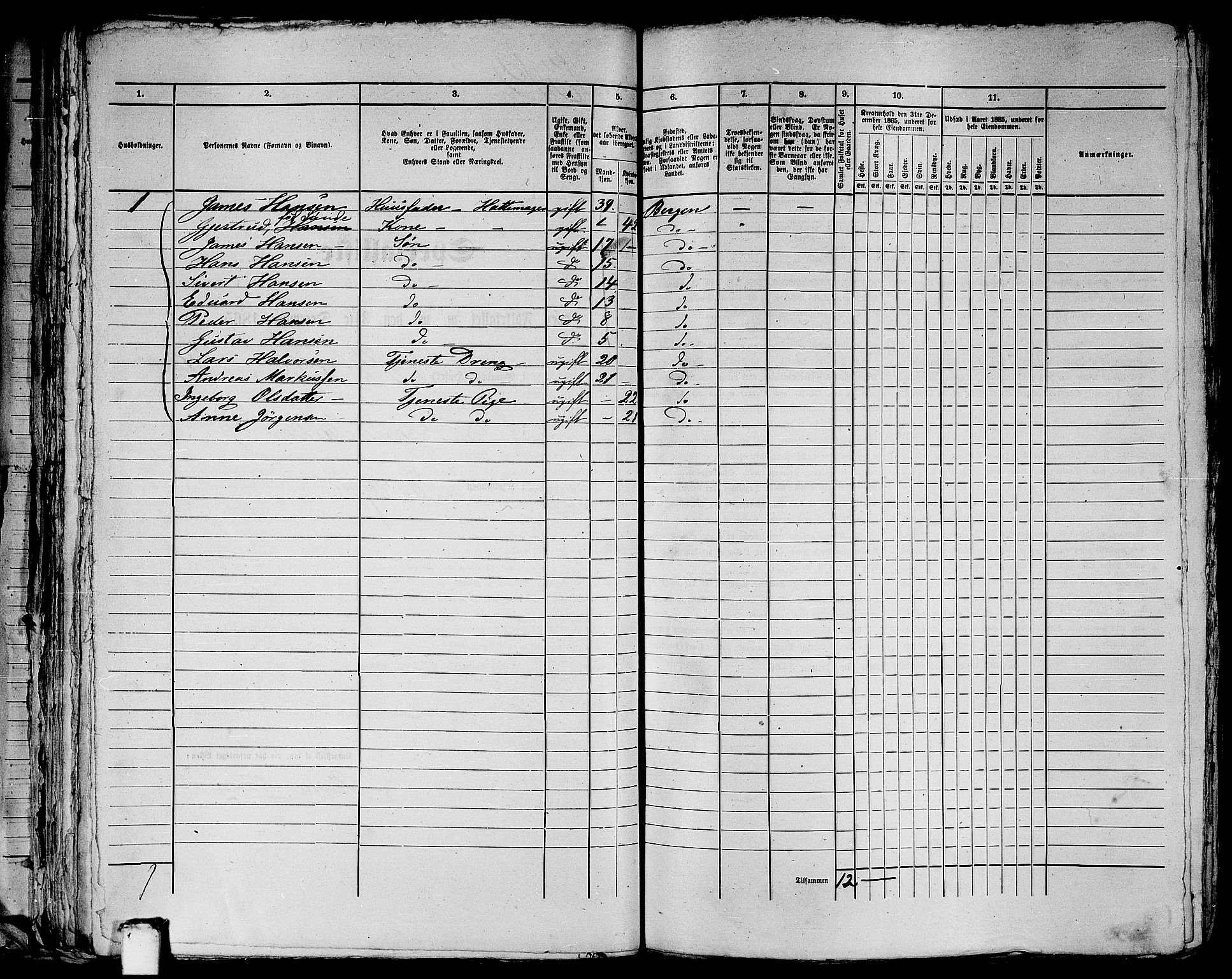 RA, 1865 census for Bergen, 1865, p. 2691