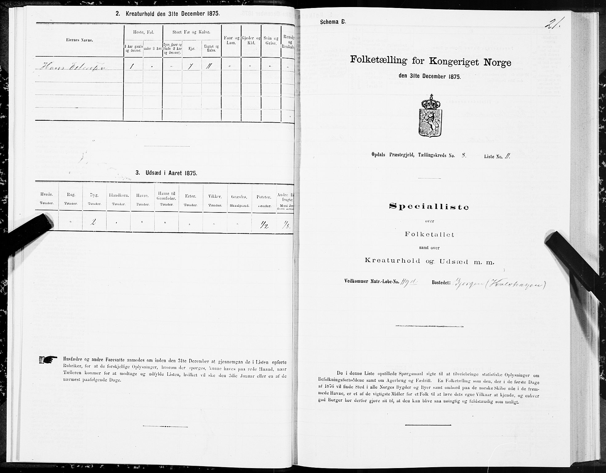 SAT, 1875 census for 1634P Oppdal, 1875, p. 5021