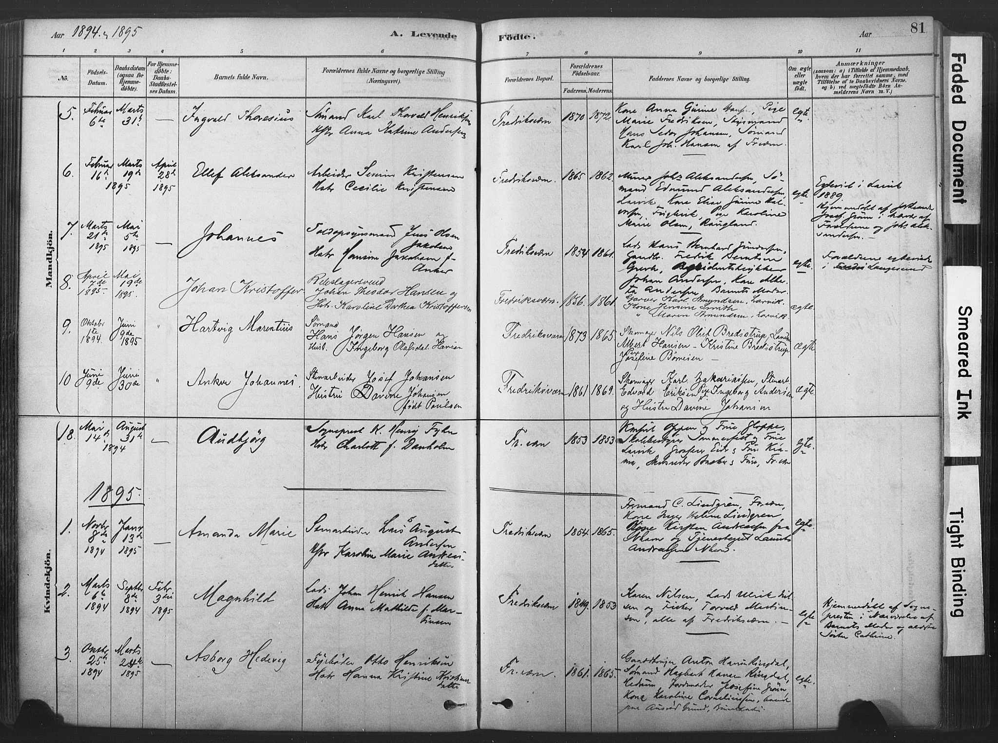 Stavern kirkebøker, SAKO/A-318/F/Fa/L0008: Parish register (official) no. 8, 1878-1905, p. 81