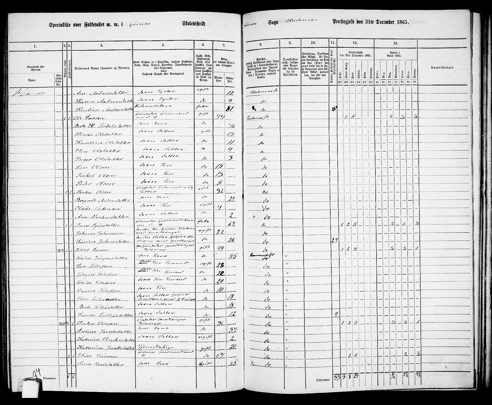 RA, 1865 census for Skudenes, 1865, p. 161