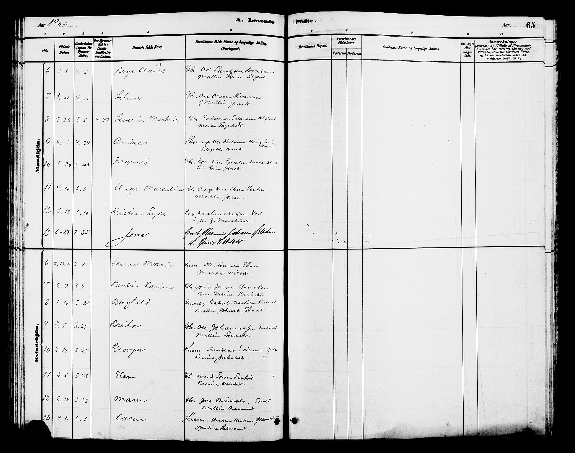 Hjelmeland sokneprestkontor, SAST/A-101843/01/V/L0007: Parish register (copy) no. B 7, 1880-1909, p. 65