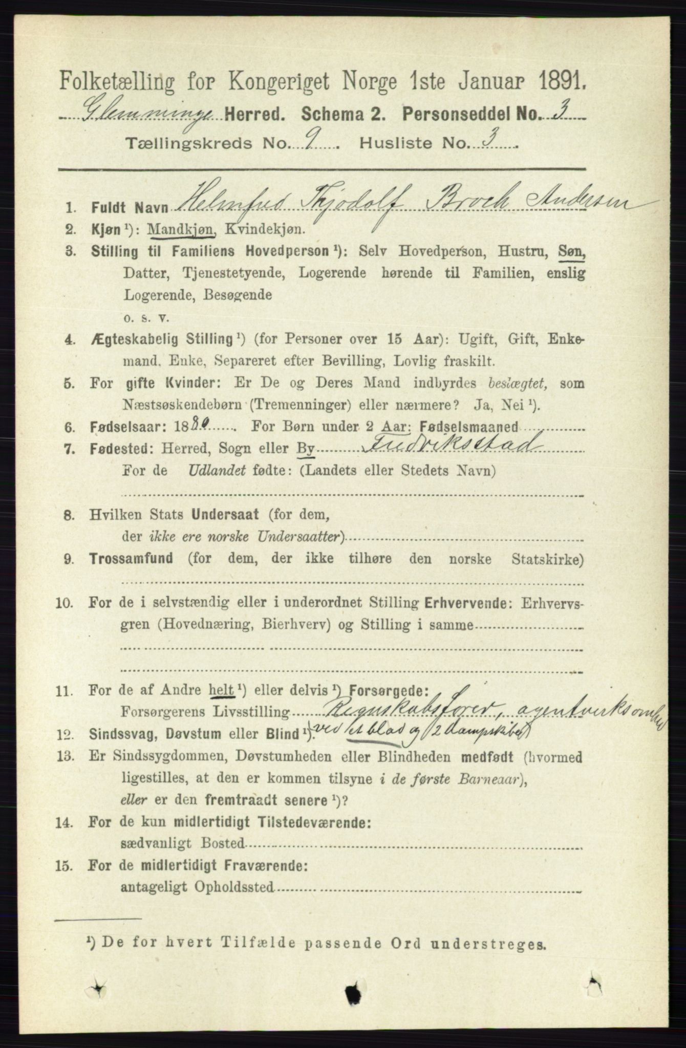 RA, 1891 census for 0132 Glemmen, 1891, p. 9599