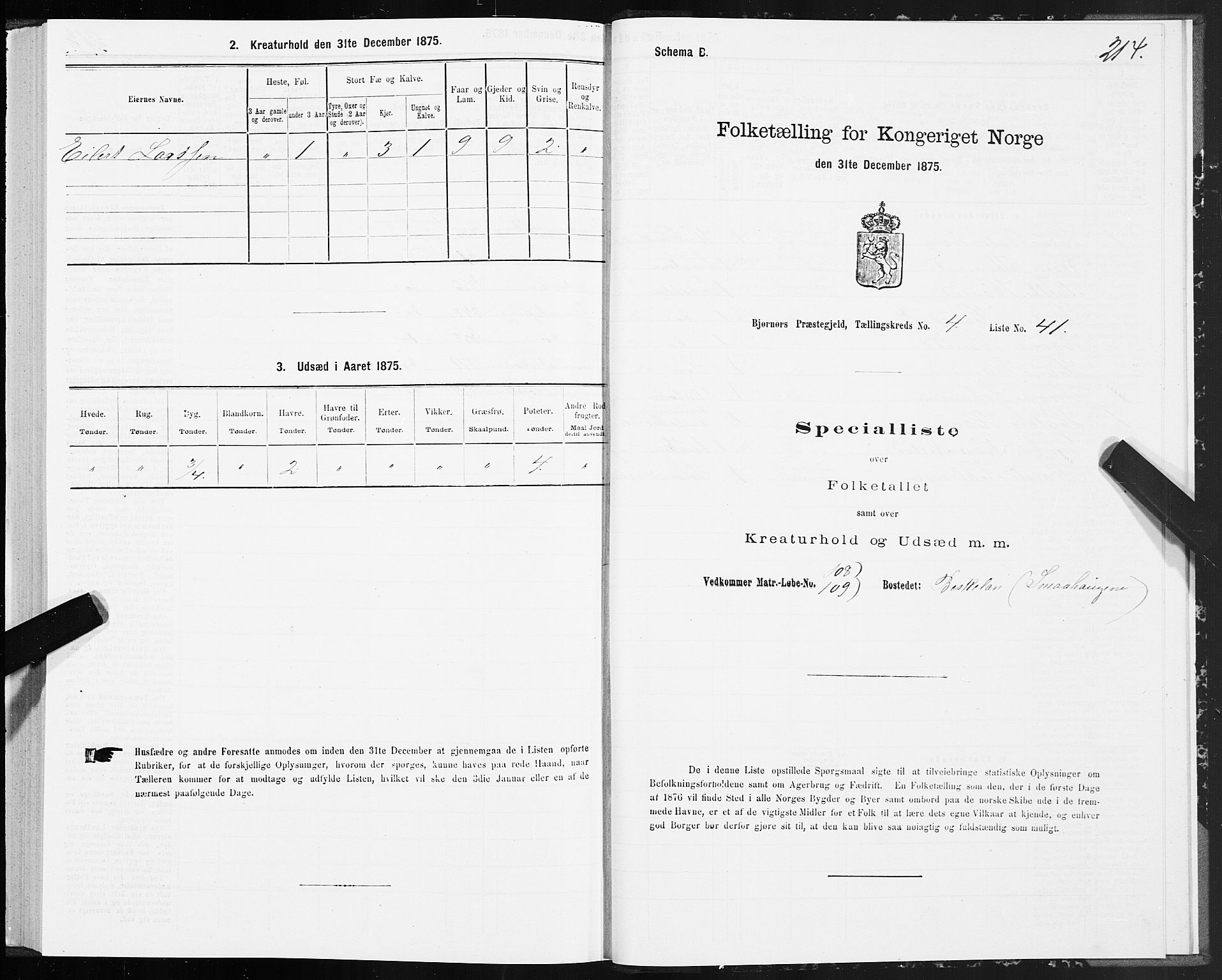 SAT, 1875 census for 1632P Bjørnør, 1875, p. 2214