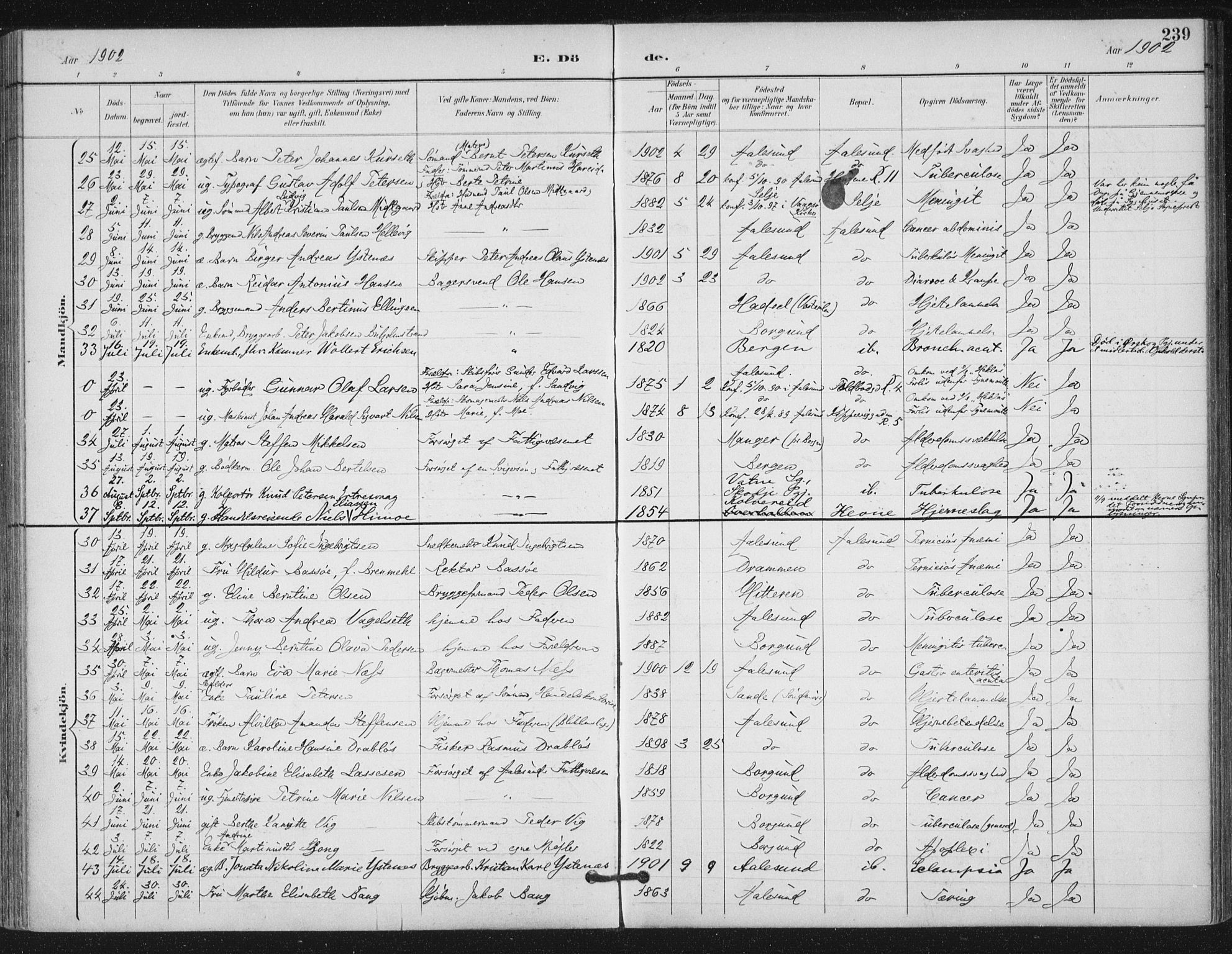 Ministerialprotokoller, klokkerbøker og fødselsregistre - Møre og Romsdal, AV/SAT-A-1454/529/L0457: Parish register (official) no. 529A07, 1894-1903, p. 239