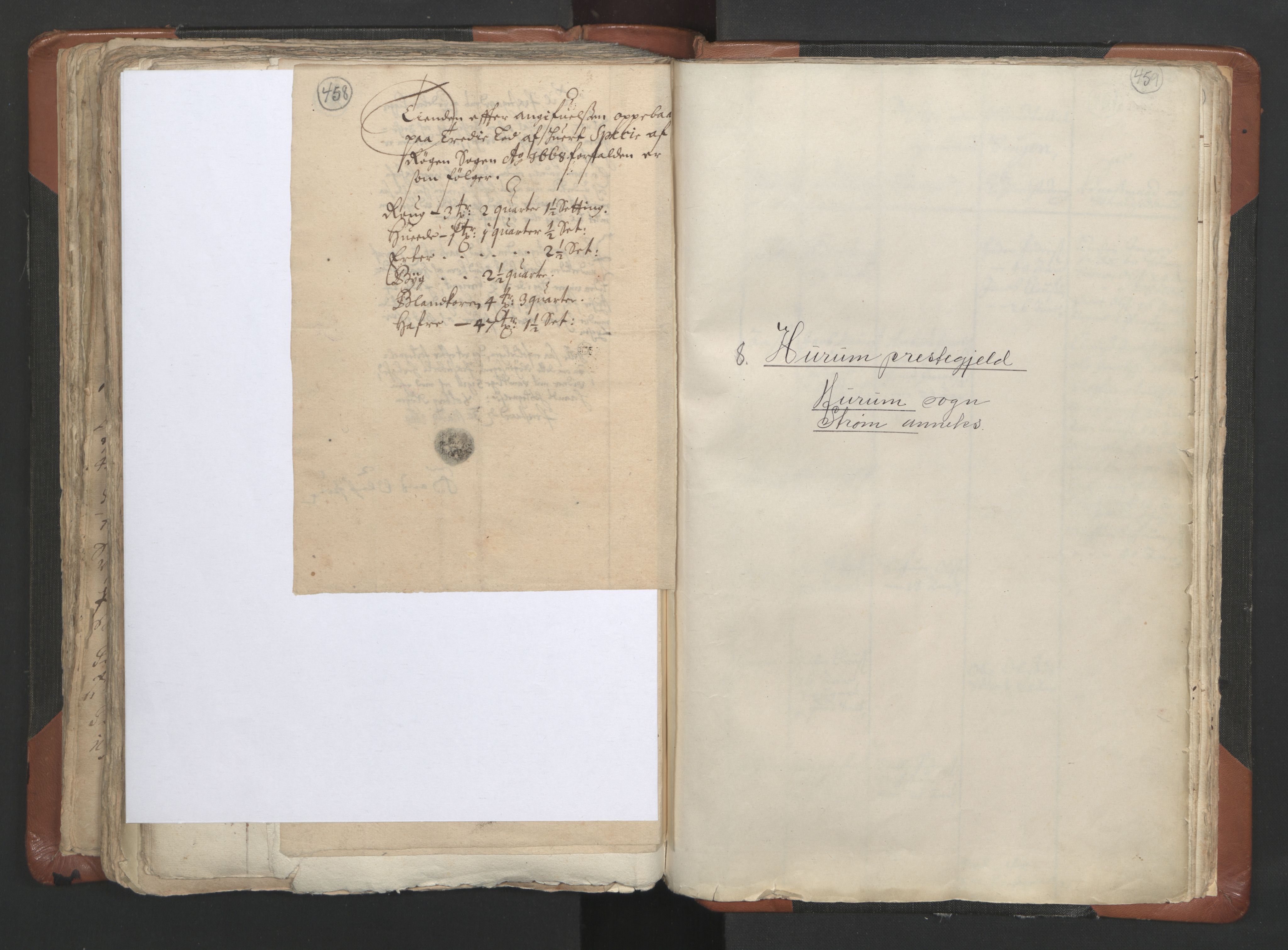 RA, Vicar's Census 1664-1666, no. 9: Bragernes deanery, 1664-1666, p. 458-459