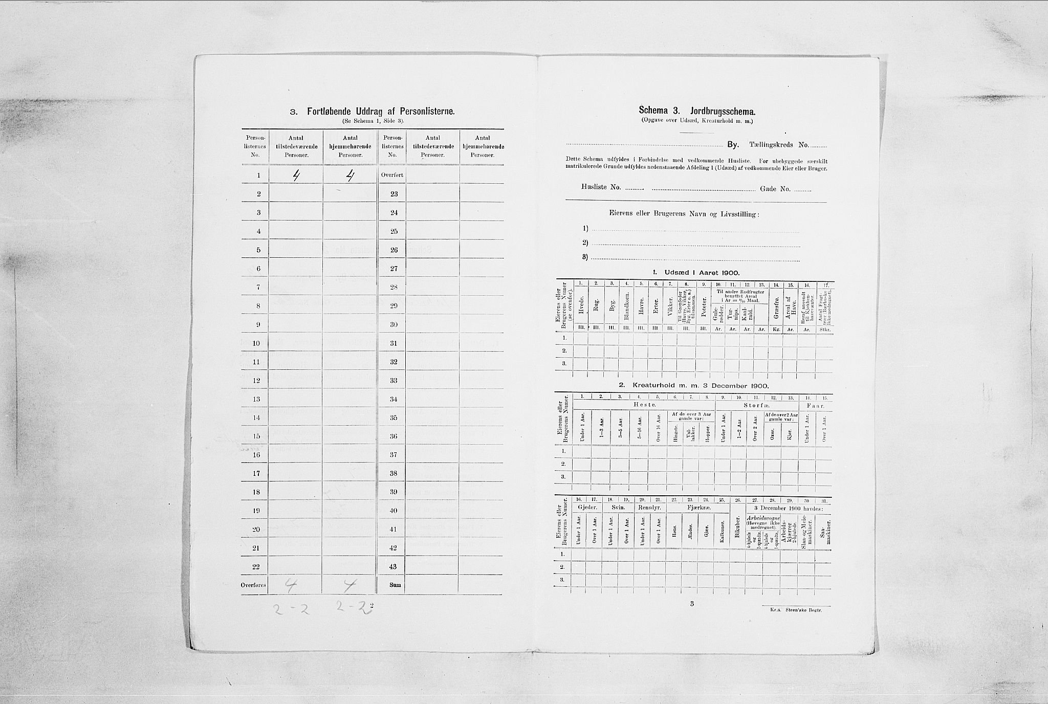 SAO, 1900 census for Drøbak, 1900