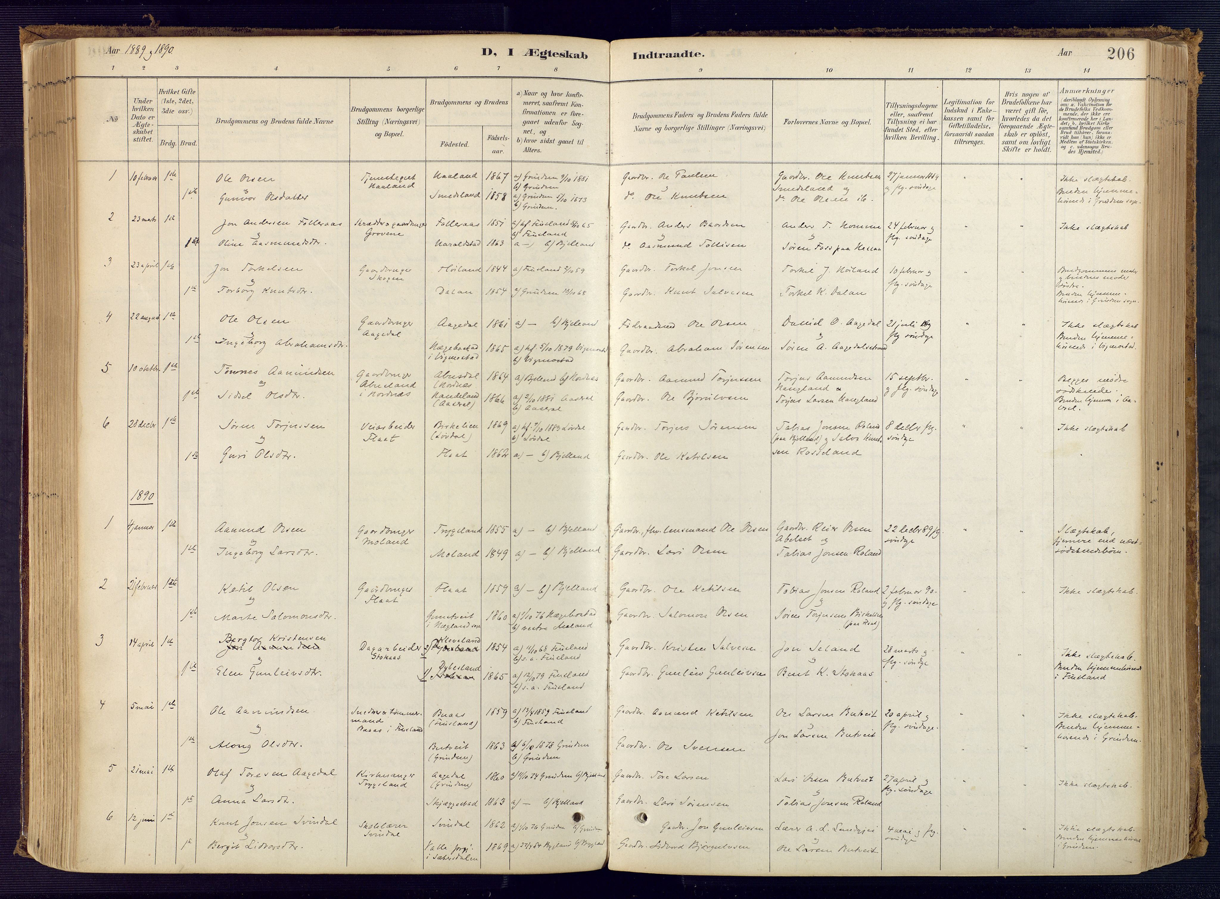 Bjelland sokneprestkontor, SAK/1111-0005/F/Fa/Faa/L0004: Parish register (official) no. A 4, 1887-1923, p. 206