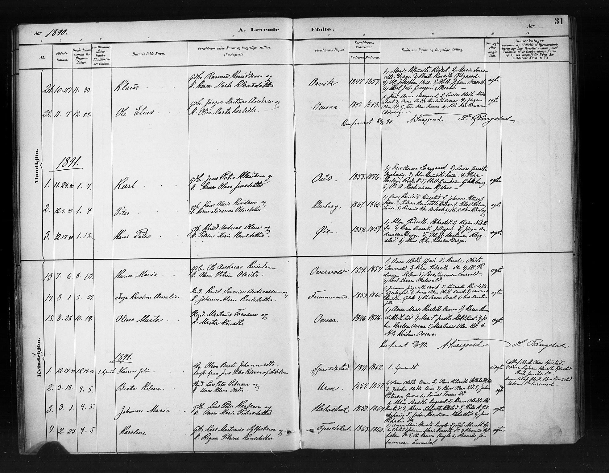 Ministerialprotokoller, klokkerbøker og fødselsregistre - Møre og Romsdal, SAT/A-1454/520/L0283: Parish register (official) no. 520A12, 1882-1898, p. 31