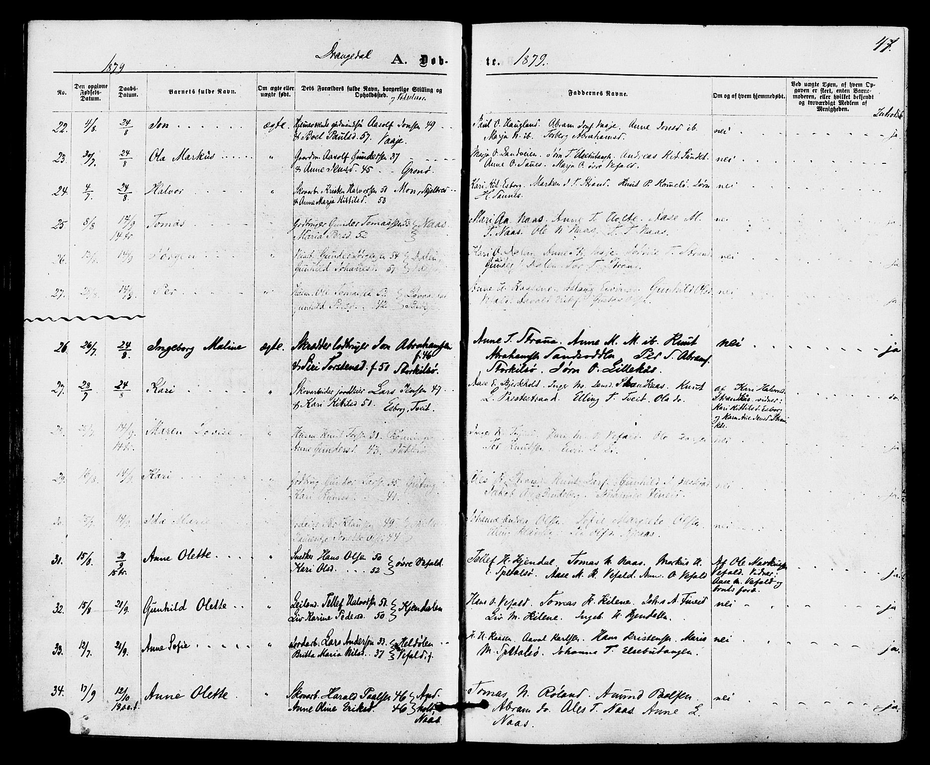 Drangedal kirkebøker, AV/SAKO-A-258/F/Fa/L0009: Parish register (official) no. 9 /1, 1872-1884, p. 47