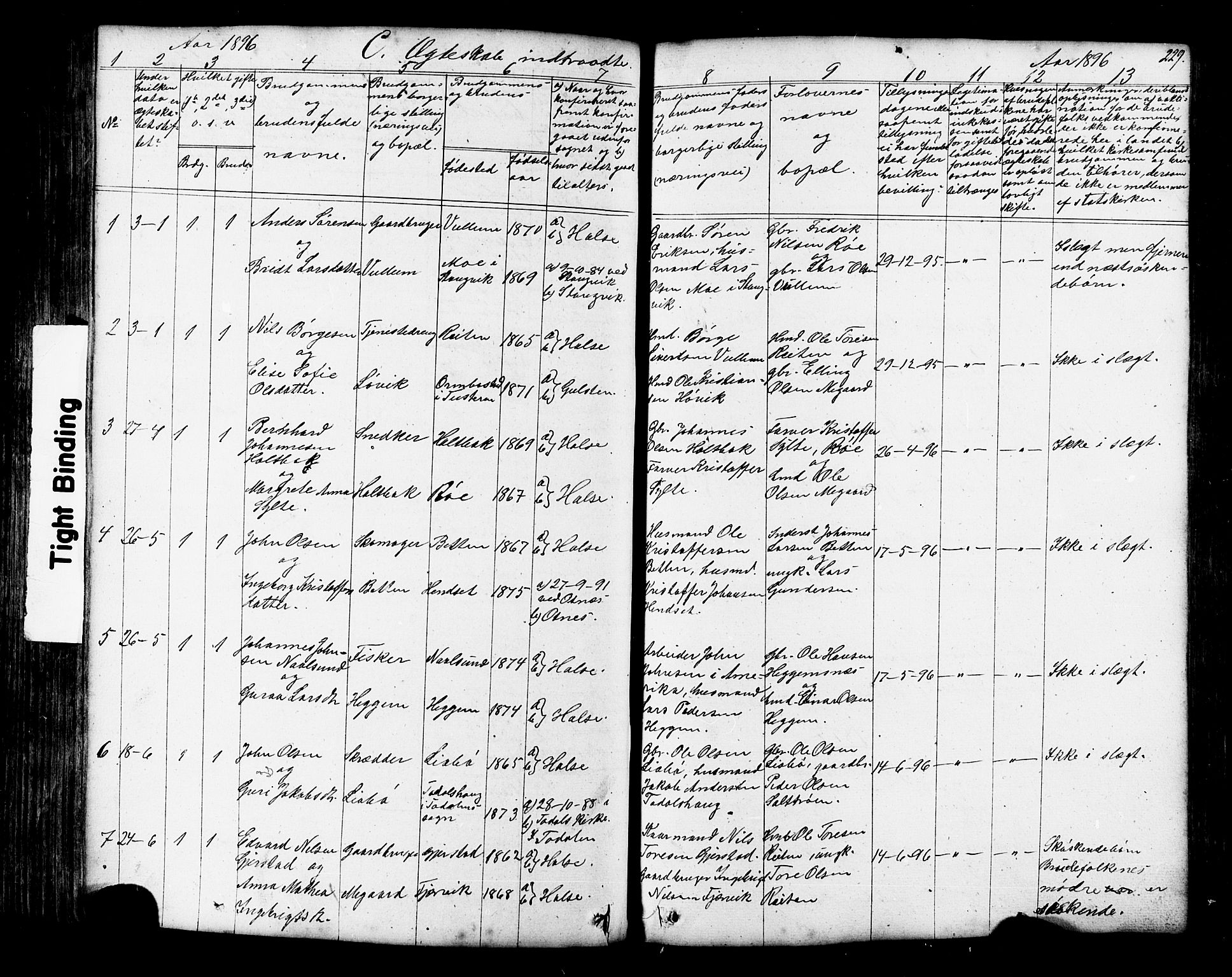 Ministerialprotokoller, klokkerbøker og fødselsregistre - Møre og Romsdal, AV/SAT-A-1454/576/L0890: Parish register (copy) no. 576C01, 1837-1908, p. 229