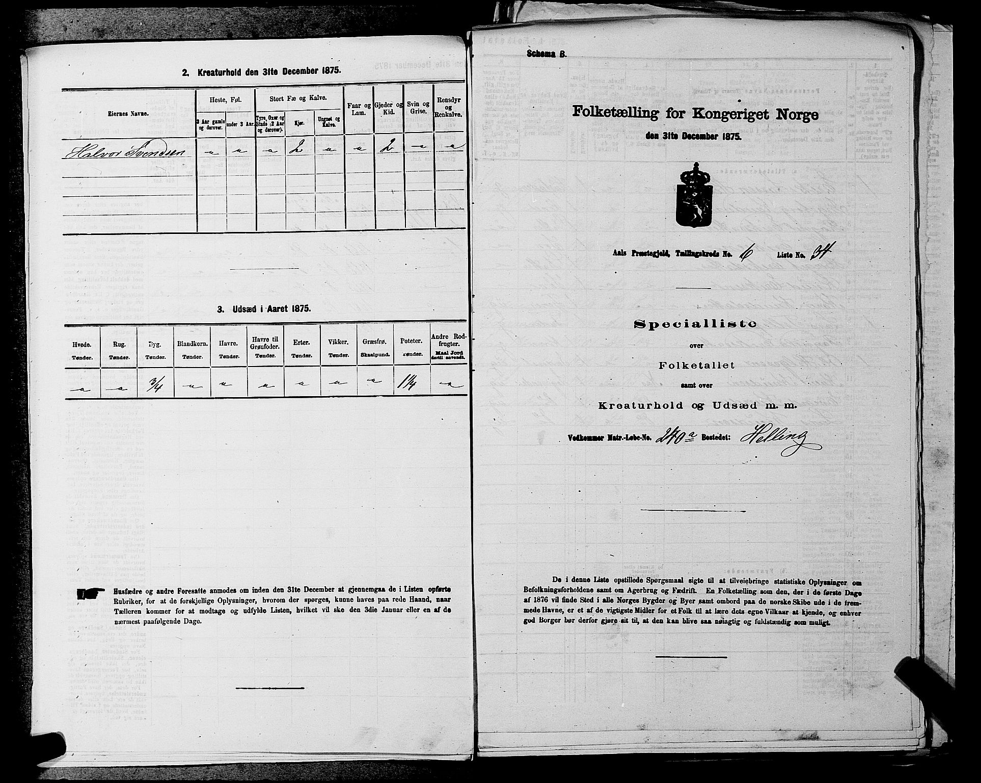 SAKO, 1875 census for 0619P Ål, 1875, p. 808