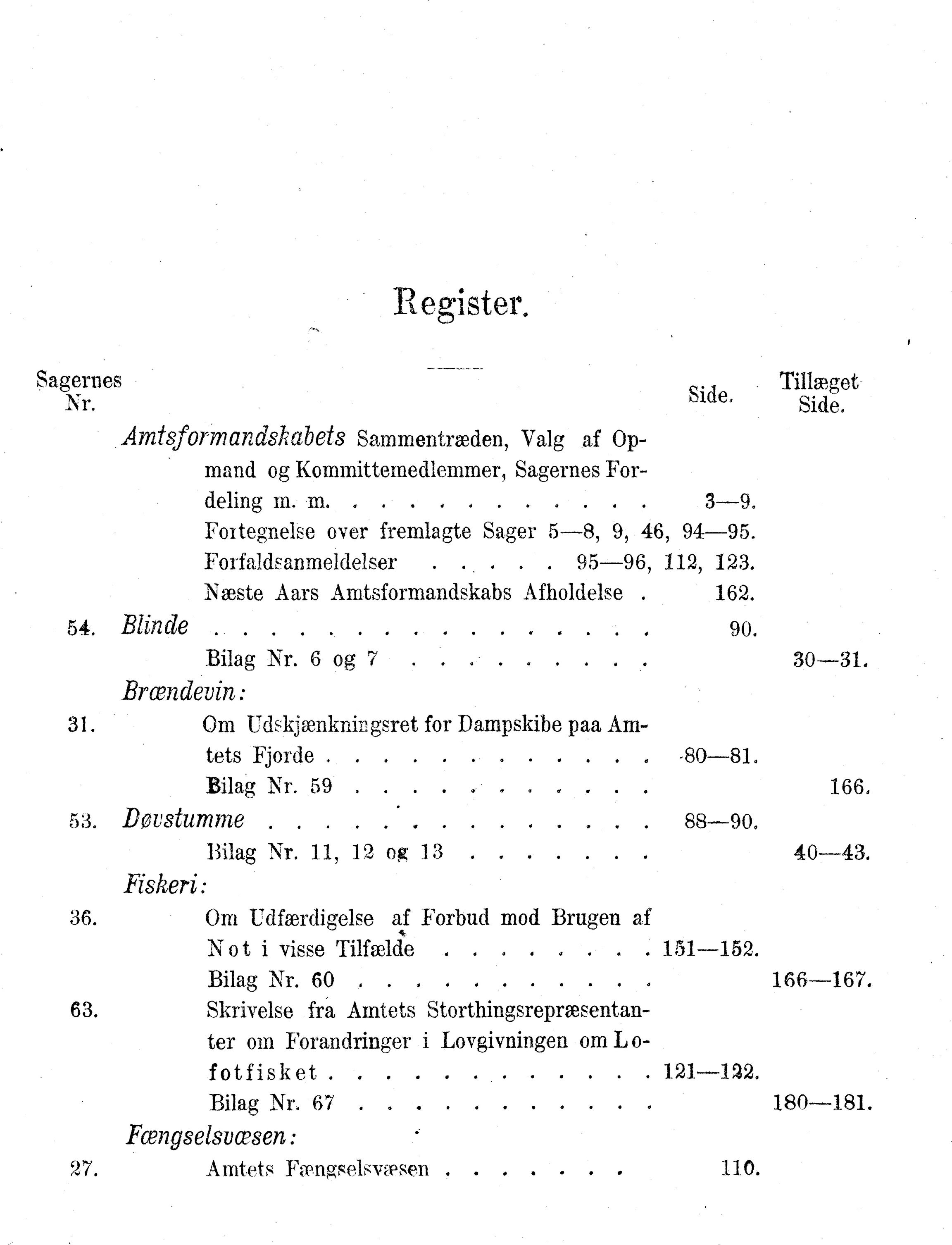 Nordland Fylkeskommune. Fylkestinget, AIN/NFK-17/176/A/Ac/L0010: Fylkestingsforhandlinger 1874-1880, 1874-1880