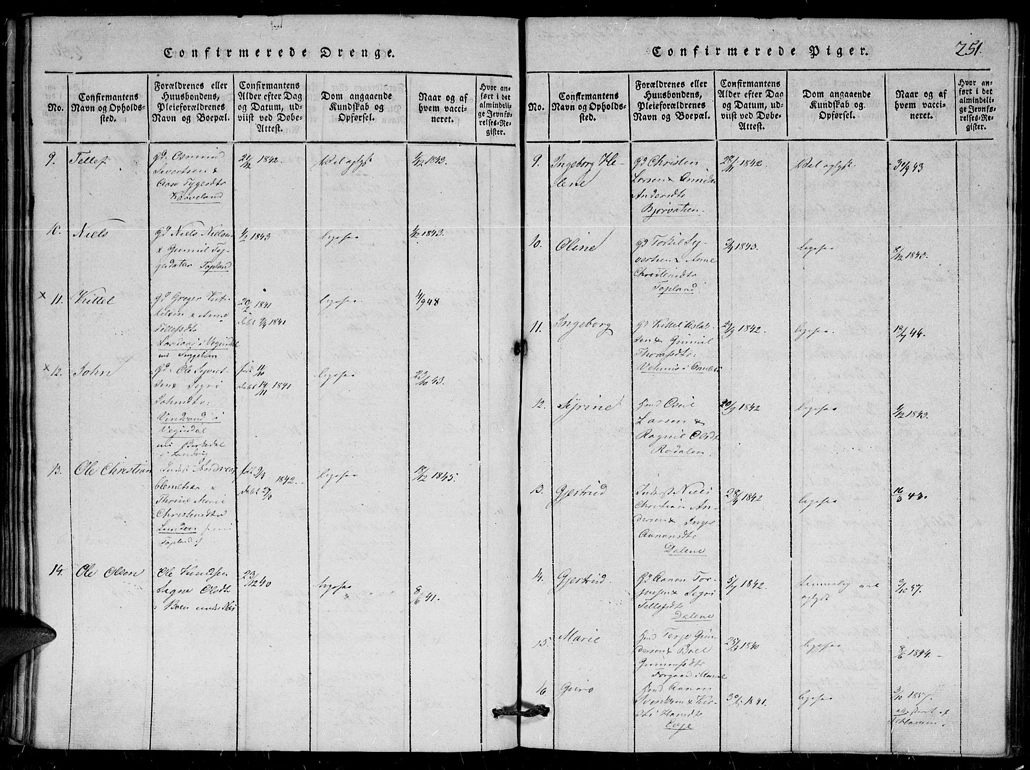 Herefoss sokneprestkontor, AV/SAK-1111-0019/F/Fa/Faa/L0001: Parish register (official) no. A 1, 1816-1860, p. 251