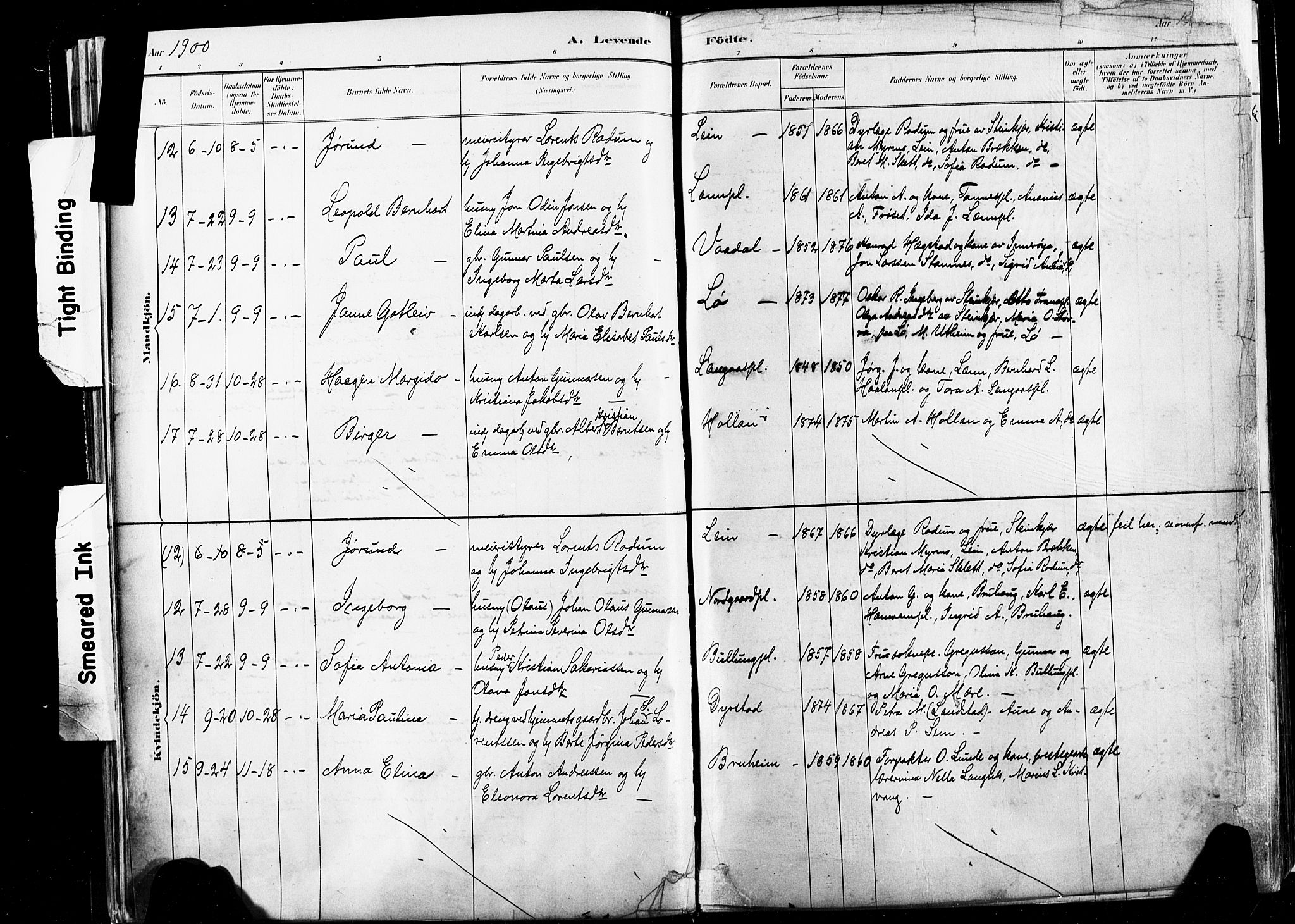 Ministerialprotokoller, klokkerbøker og fødselsregistre - Nord-Trøndelag, AV/SAT-A-1458/735/L0351: Parish register (official) no. 735A10, 1884-1908, p. 68