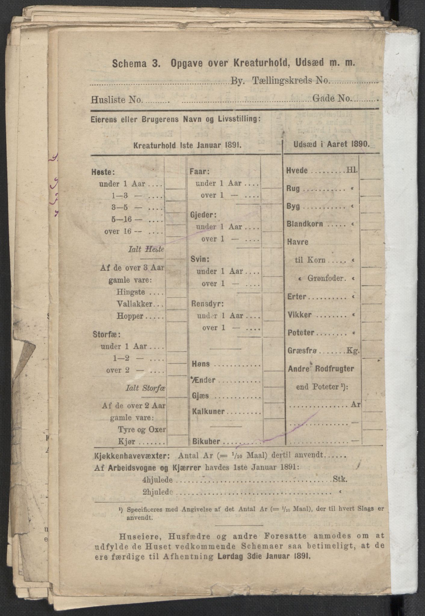 RA, 1891 Census for 1301 Bergen, 1891, p. 2165