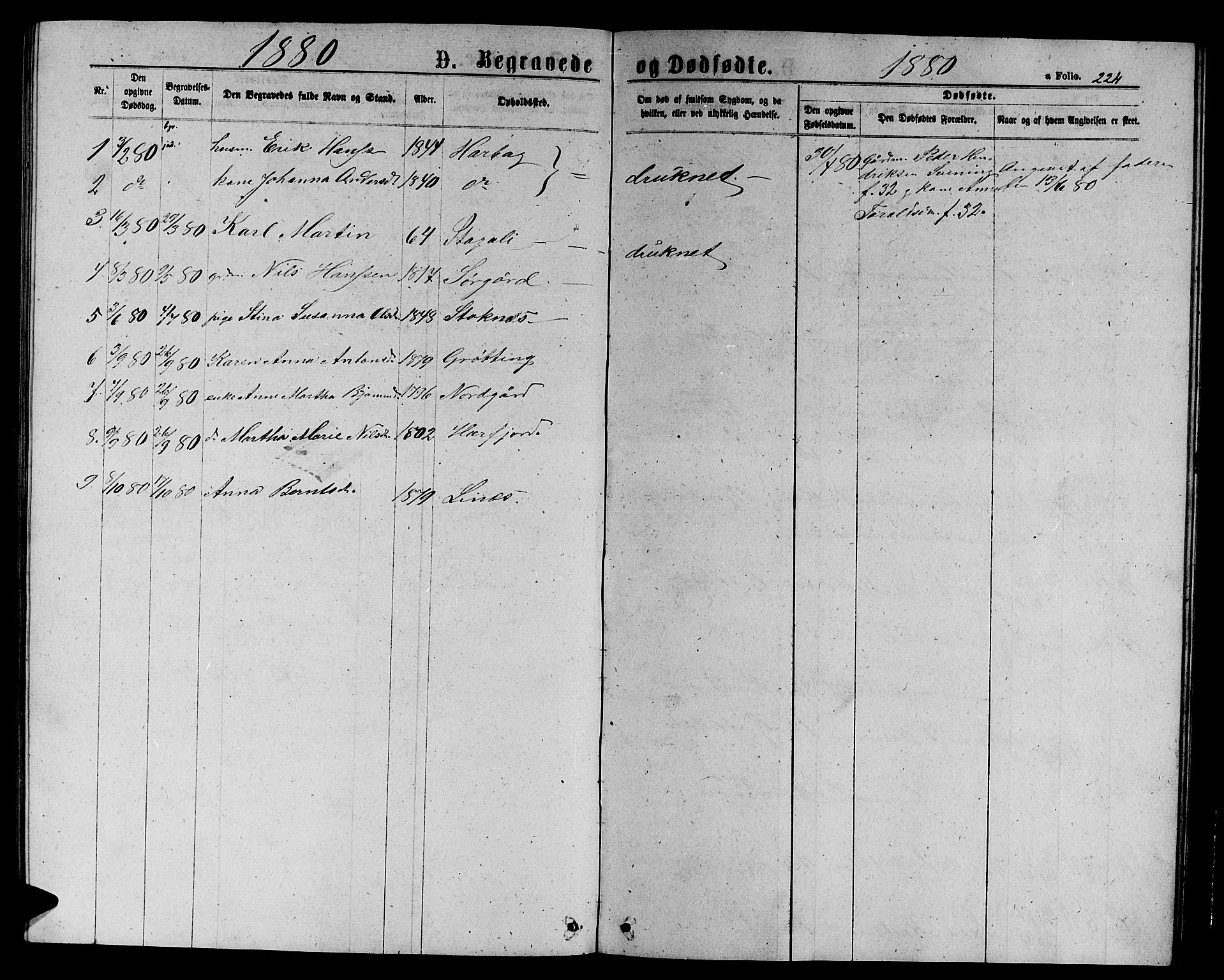 Ministerialprotokoller, klokkerbøker og fødselsregistre - Sør-Trøndelag, SAT/A-1456/656/L0695: Parish register (copy) no. 656C01, 1867-1889, p. 224