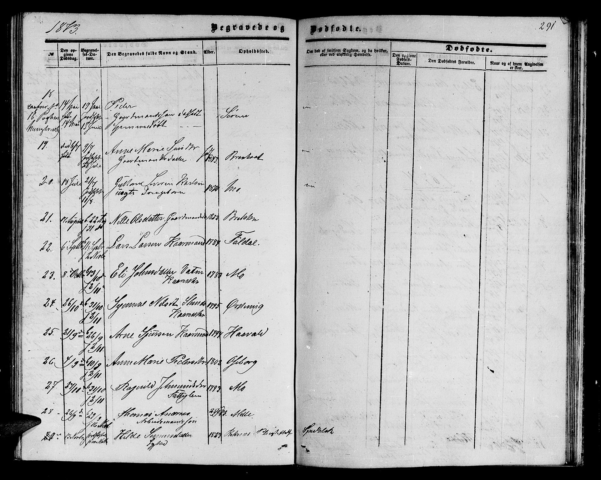 Ministerialprotokoller, klokkerbøker og fødselsregistre - Møre og Romsdal, AV/SAT-A-1454/513/L0188: Parish register (copy) no. 513C02, 1865-1882, p. 291