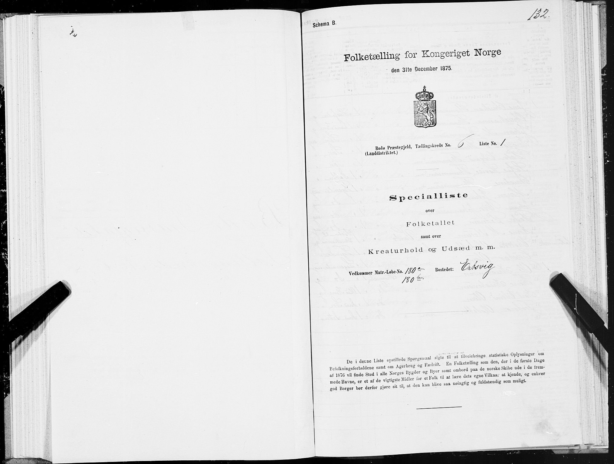 SAT, 1875 census for 1843L Bodø/Bodø, 1875, p. 3132