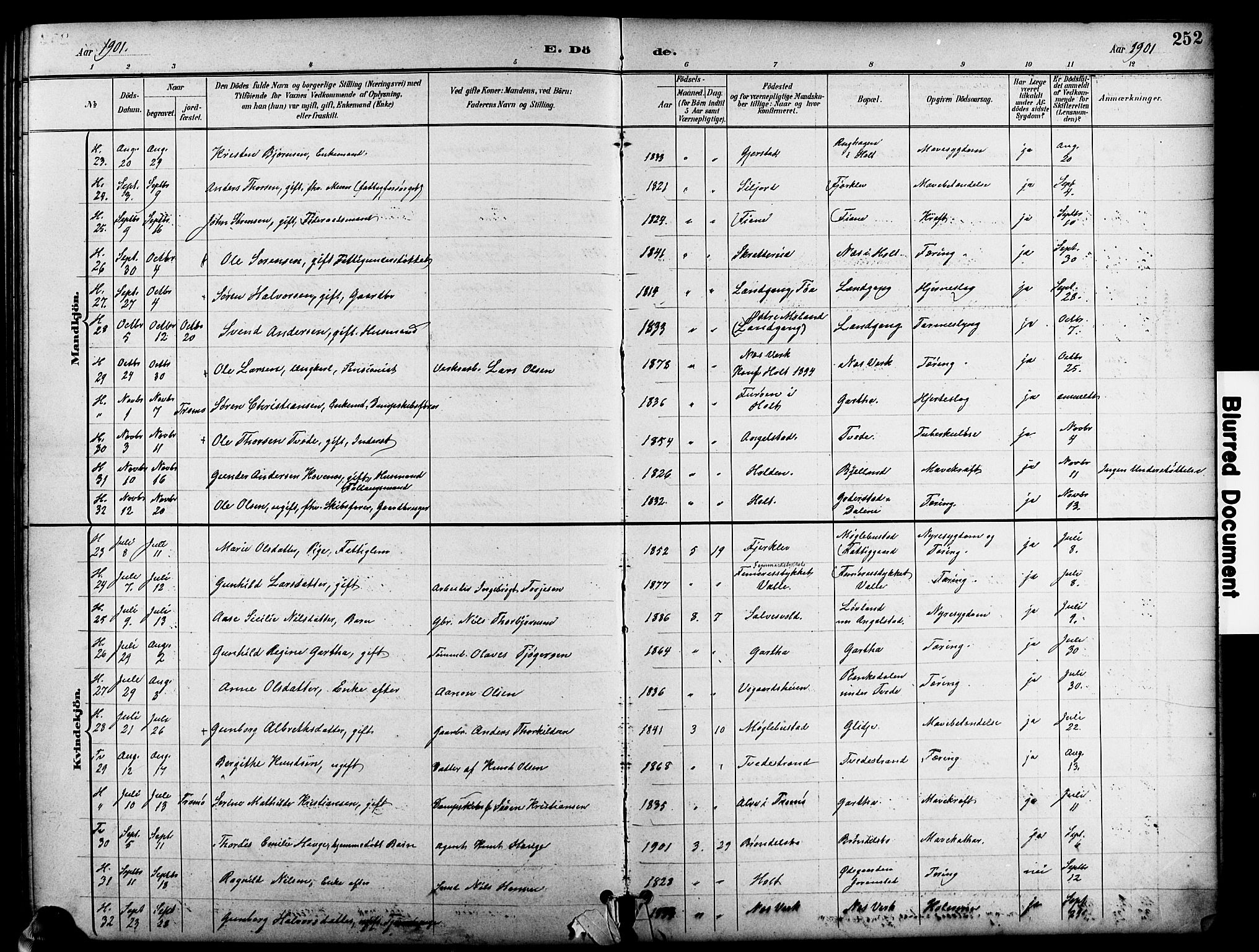 Holt sokneprestkontor, SAK/1111-0021/F/Fb/L0011: Parish register (copy) no. B 11, 1897-1921, p. 252