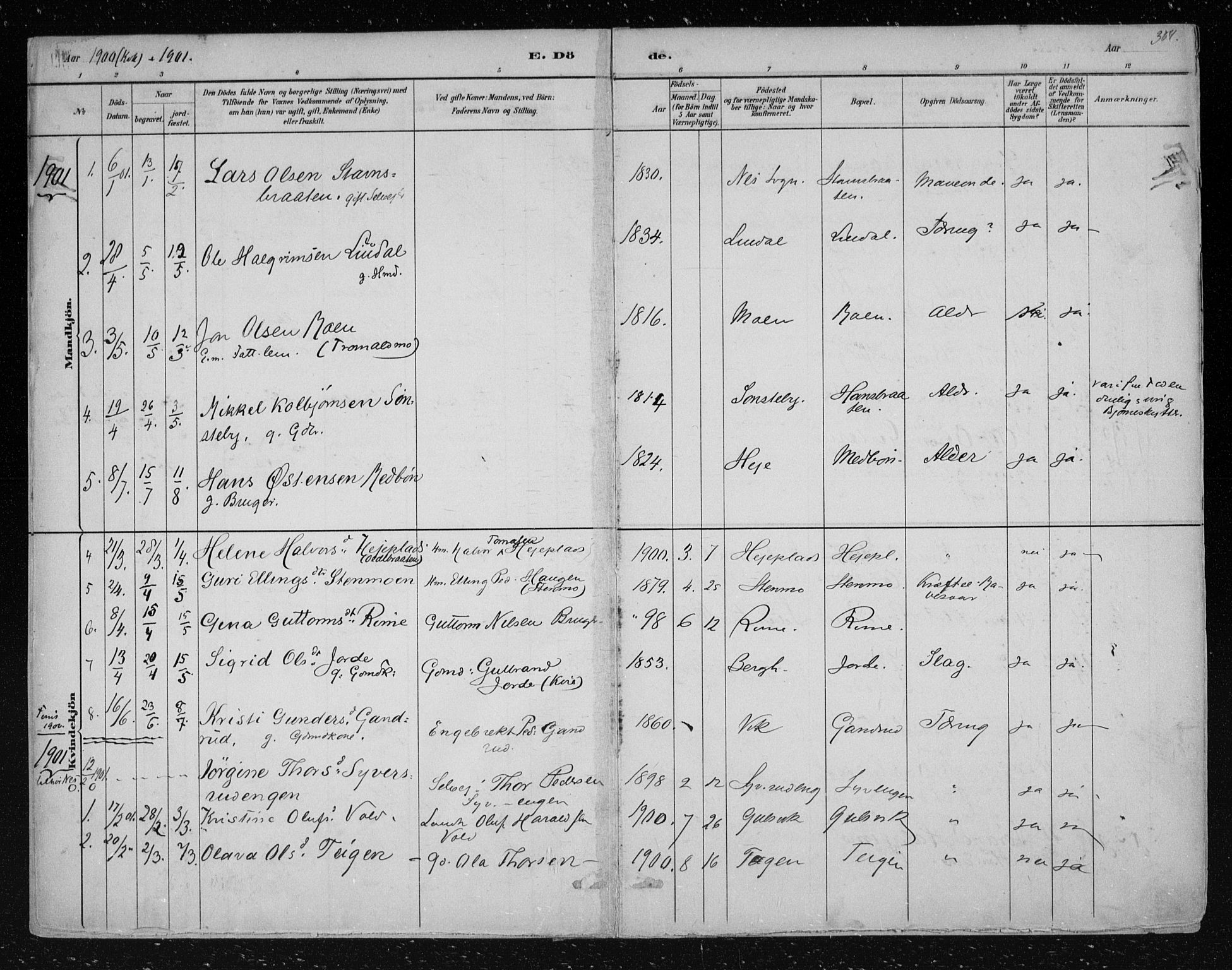 Nes kirkebøker, AV/SAKO-A-236/F/Fa/L0012: Parish register (official) no. 12, 1881-1917, p. 304