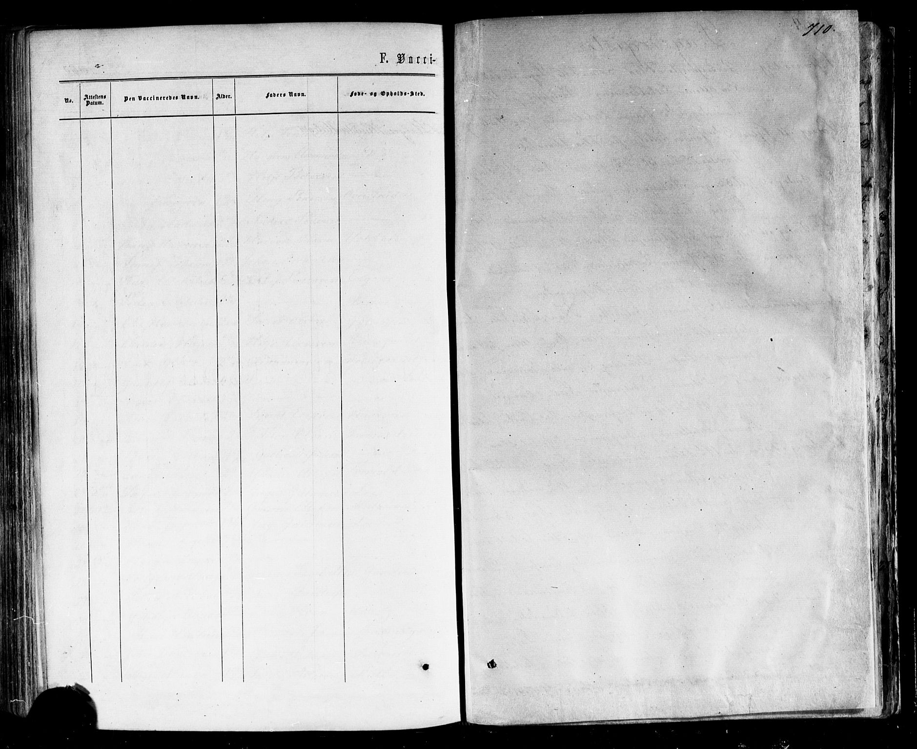 Nes kirkebøker, AV/SAKO-A-236/F/Fa/L0010: Parish register (official) no. 10, 1864-1880, p. 710