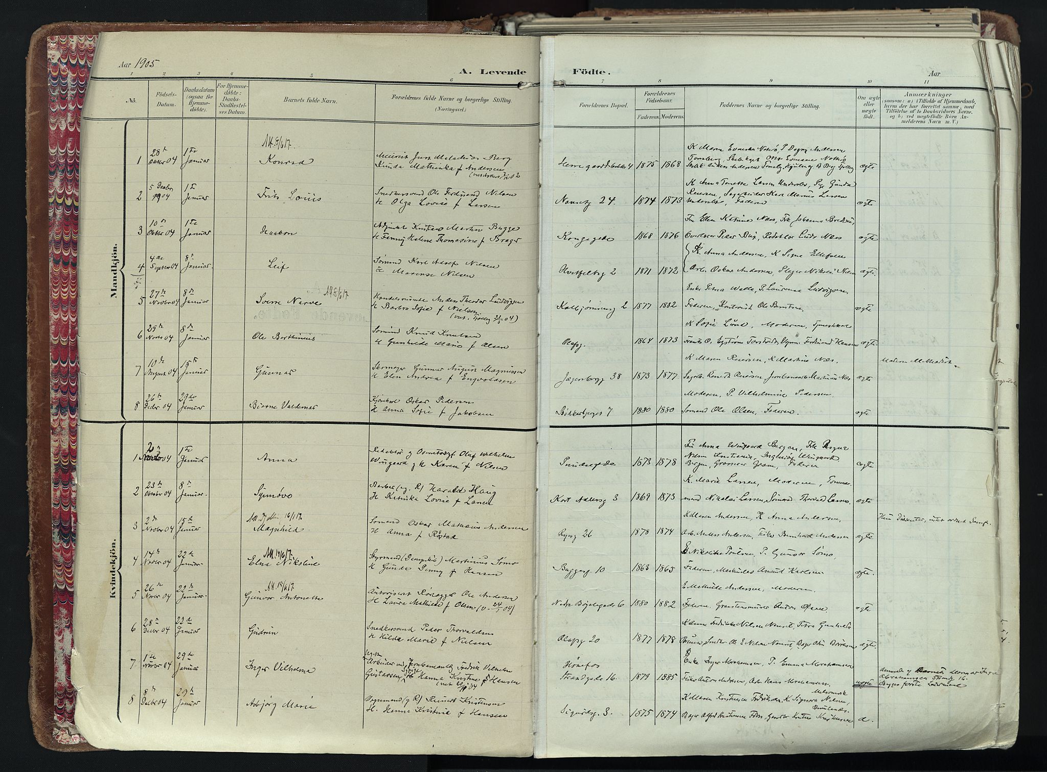 Larvik kirkebøker, SAKO/A-352/F/Fa/L0012: Parish register (official) no. I 12, 1905-1933, p. 4