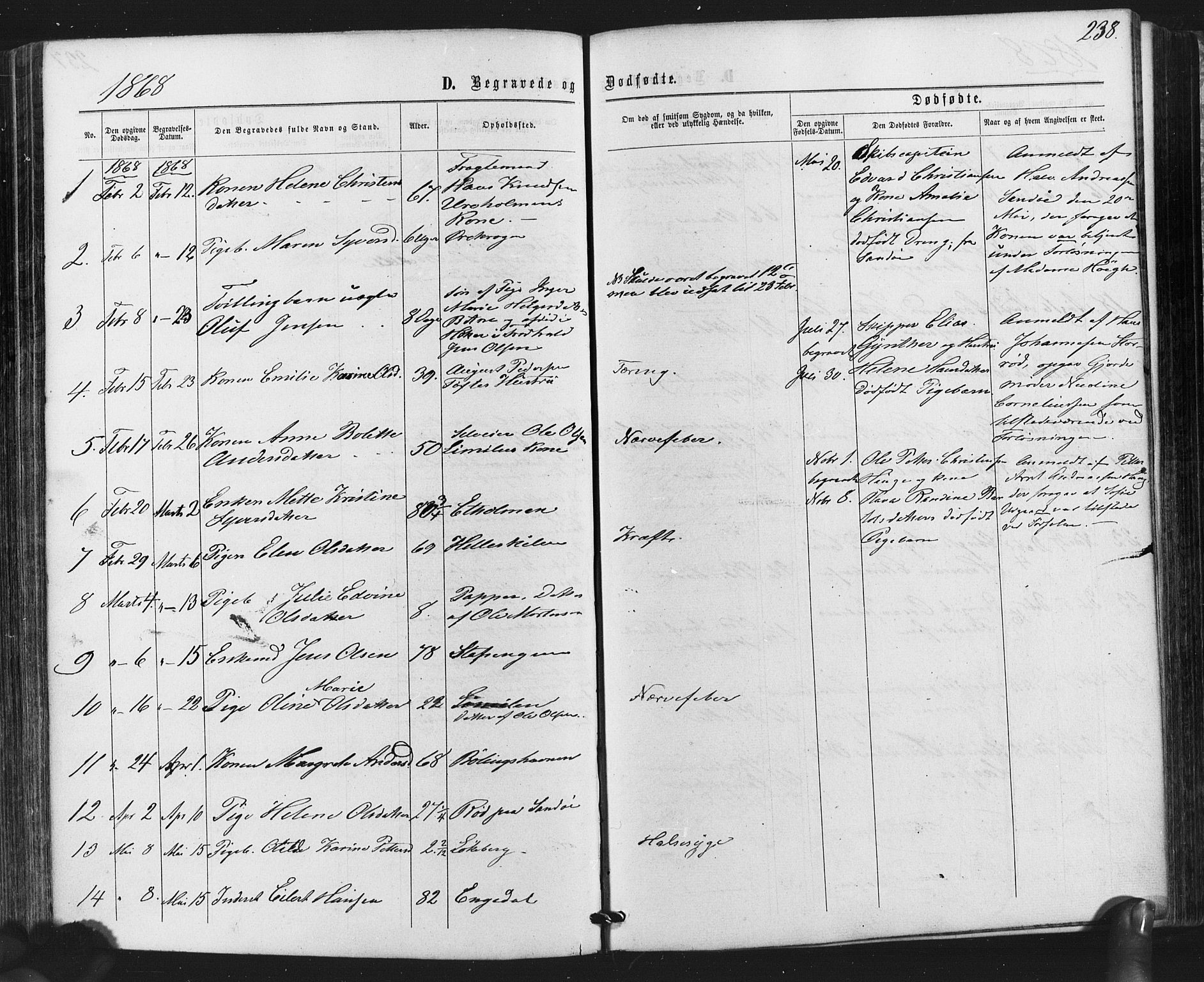 Hvaler prestekontor Kirkebøker, SAO/A-2001/F/Fa/L0007: Parish register (official) no. I 7, 1864-1878, p. 238