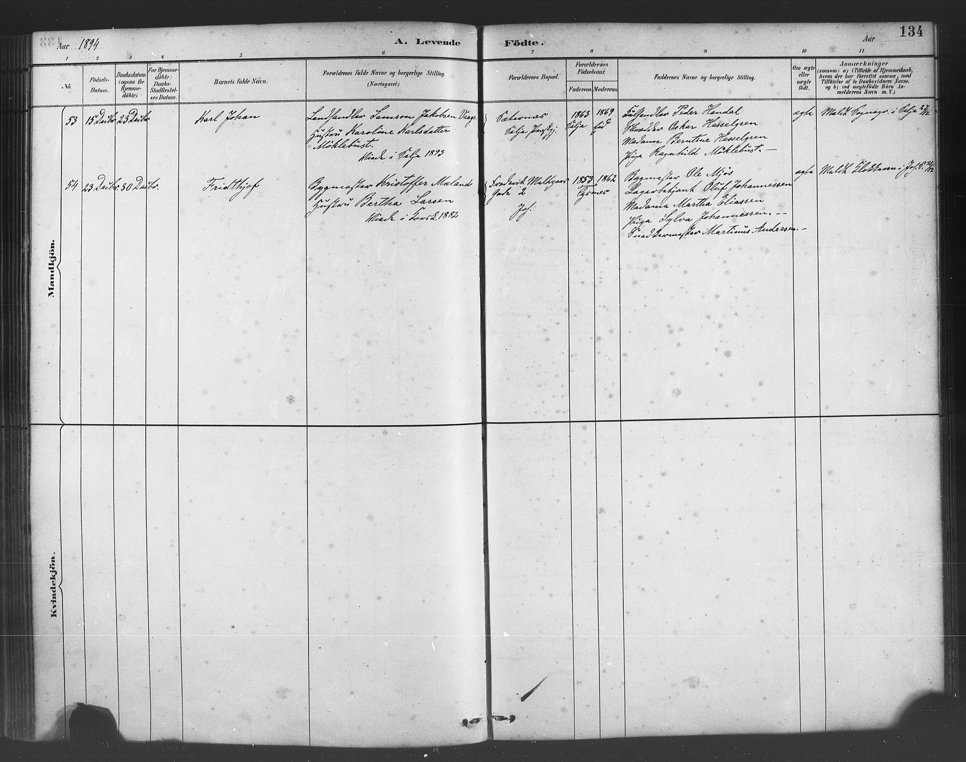 Fødselsstiftelsens sokneprestembete*, SAB/-: Parish register (official) no. A 2, 1884-1900, p. 134