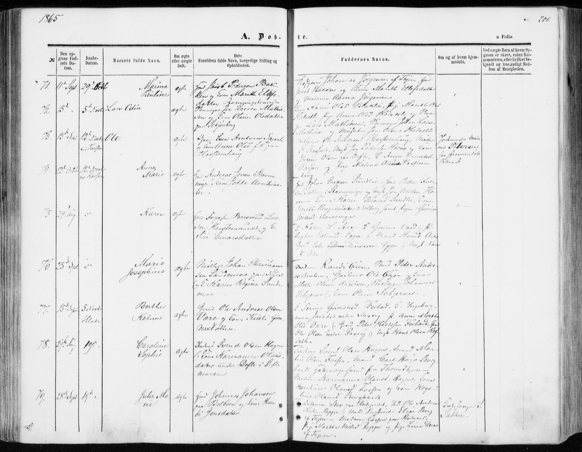 Ministerialprotokoller, klokkerbøker og fødselsregistre - Sør-Trøndelag, SAT/A-1456/606/L0292: Parish register (official) no. 606A07, 1856-1865, p. 206