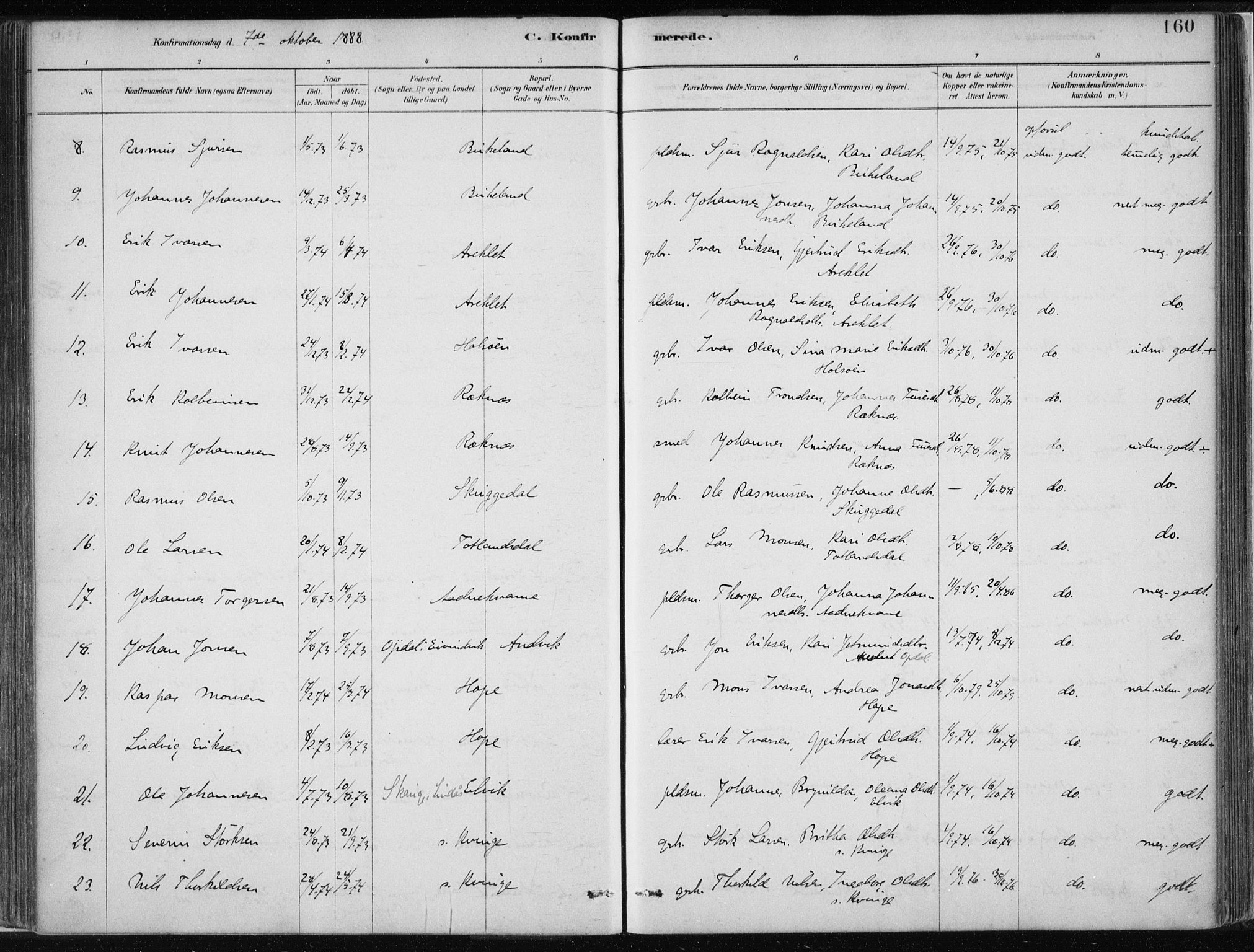 Masfjorden Sokneprestembete, SAB/A-77001: Parish register (official) no. B  1, 1876-1899, p. 160