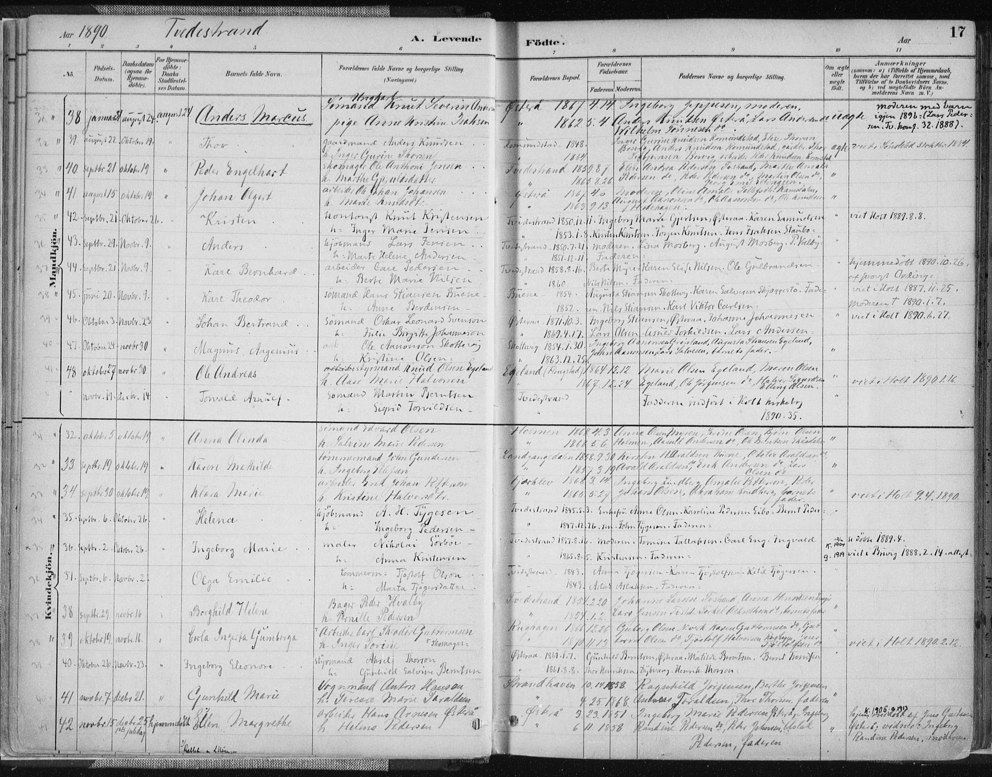 Tvedestrand sokneprestkontor, AV/SAK-1111-0042/F/Fa/L0001: Parish register (official) no. A 1, 1885-1916, p. 17