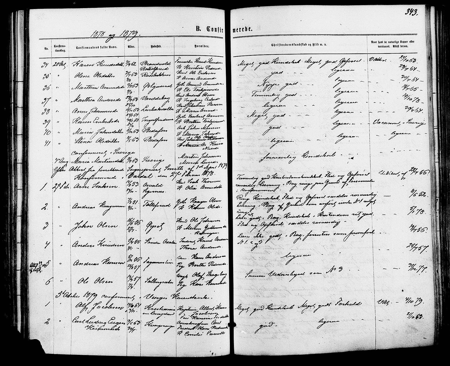 Vinger prestekontor, SAH/PREST-024/H/Ha/Haa/L0012: Parish register (official) no. 12, 1871-1880, p. 343