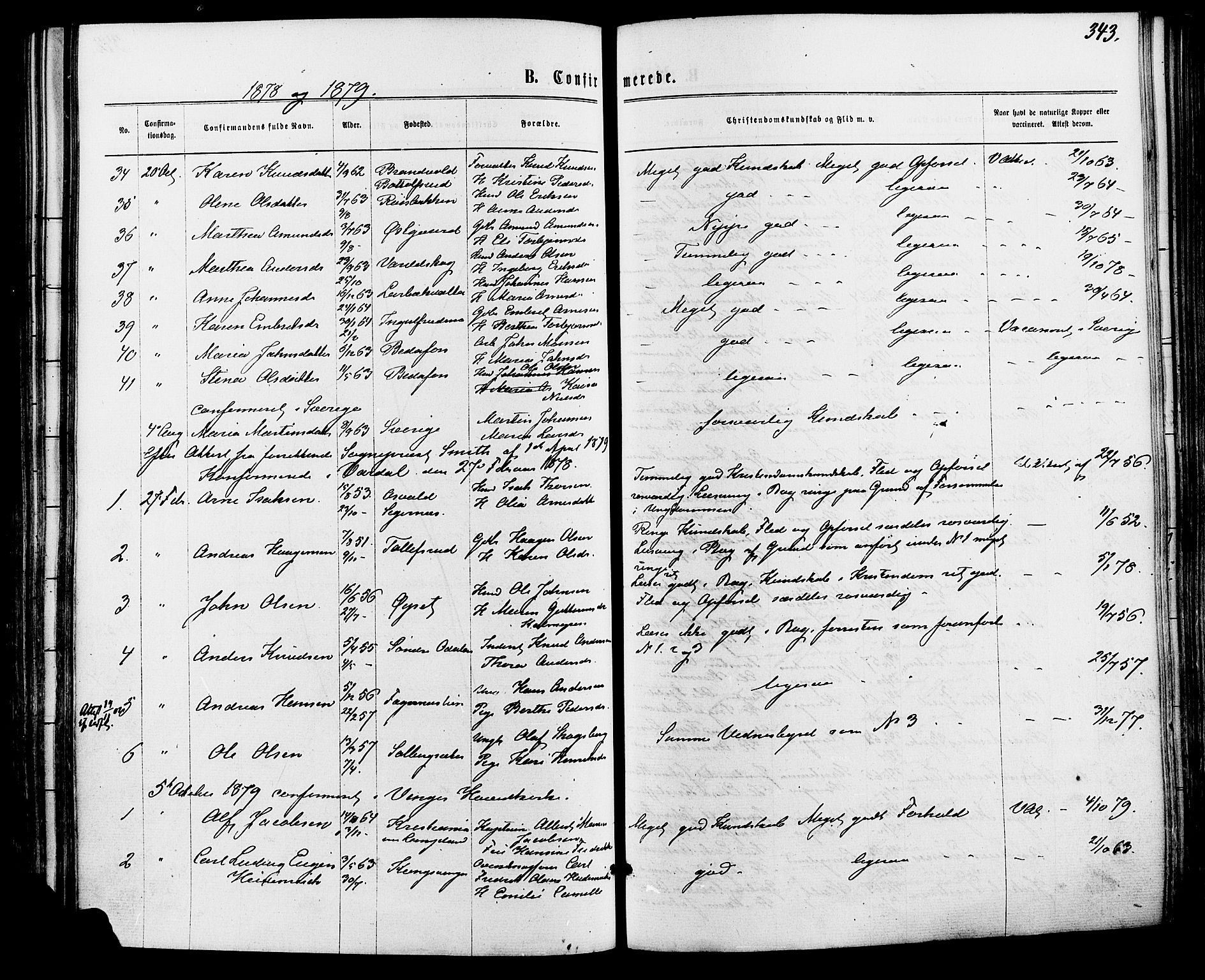 Vinger prestekontor, AV/SAH-PREST-024/H/Ha/Haa/L0012: Parish register (official) no. 12, 1871-1880, p. 343