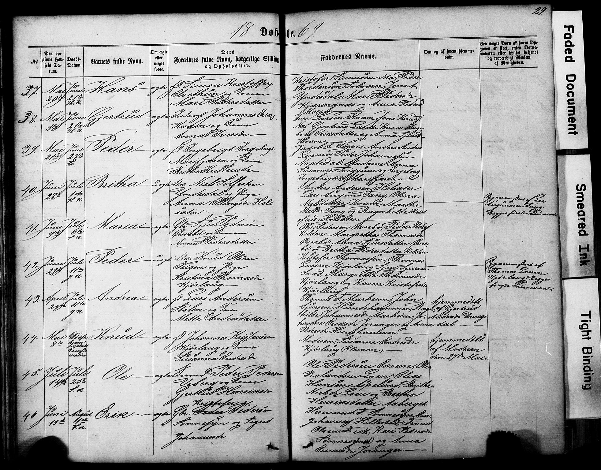 Hafslo sokneprestembete, AV/SAB-A-80301/H/Hab/Haba/L0001: Parish register (copy) no. A 1, 1866-1908, p. 29