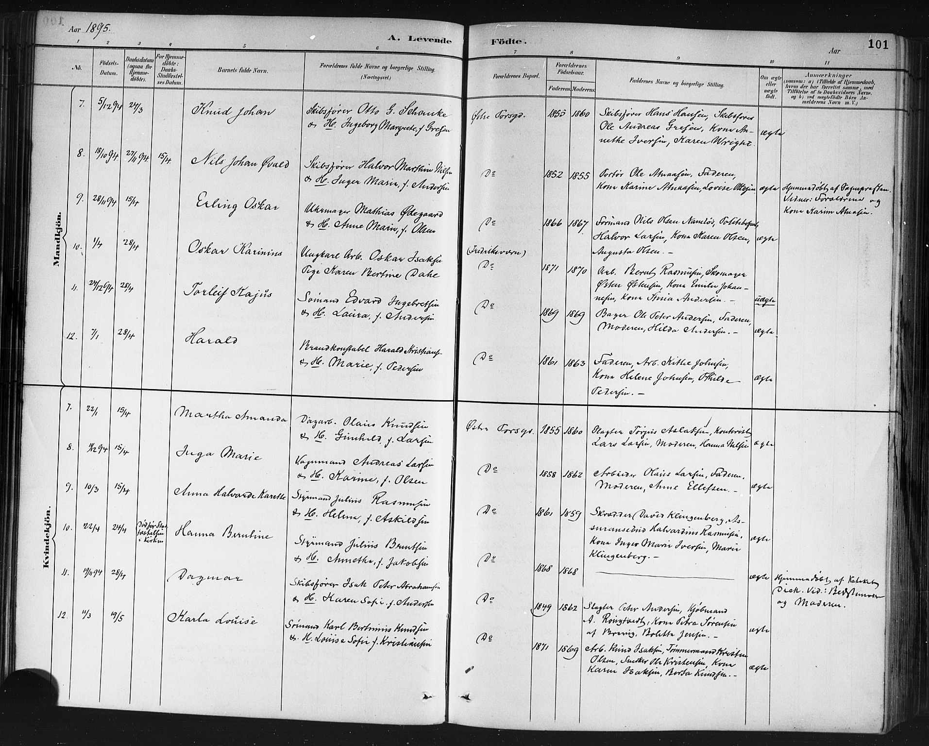 Porsgrunn kirkebøker , AV/SAKO-A-104/G/Gb/L0005: Parish register (copy) no. II 5, 1883-1915, p. 101