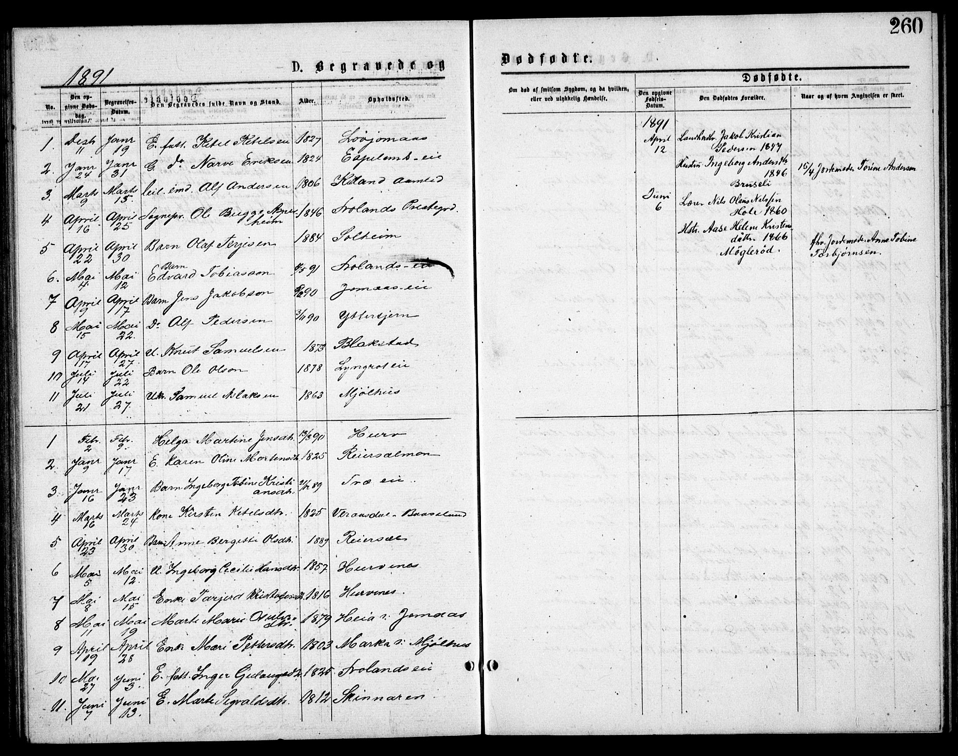 Froland sokneprestkontor, AV/SAK-1111-0013/F/Fb/L0009: Parish register (copy) no. B 9, 1875-1893, p. 260