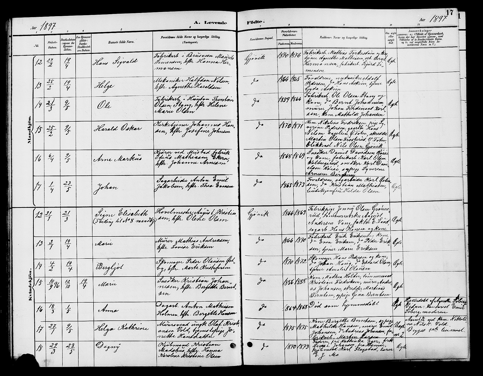 Vardal prestekontor, AV/SAH-PREST-100/H/Ha/Hab/L0009: Parish register (copy) no. 9, 1894-1902, p. 17