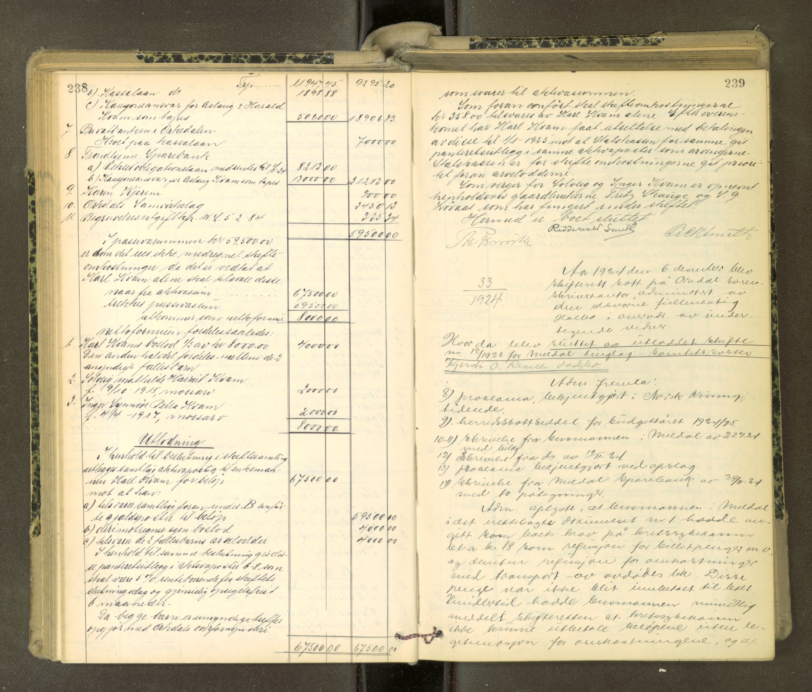 Orkdal sorenskriveri, AV/SAT-A-4169/1/3/3Aa/L0017: Skifteprotokoller, 1921-1929, p. 238-239