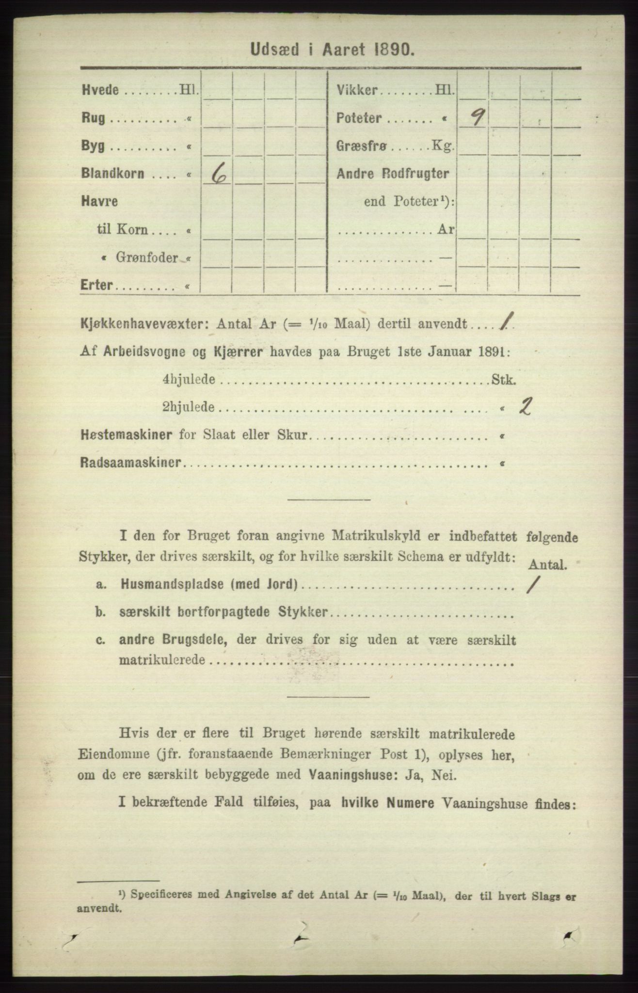 RA, 1891 census for 1251 Bruvik, 1891, p. 4888