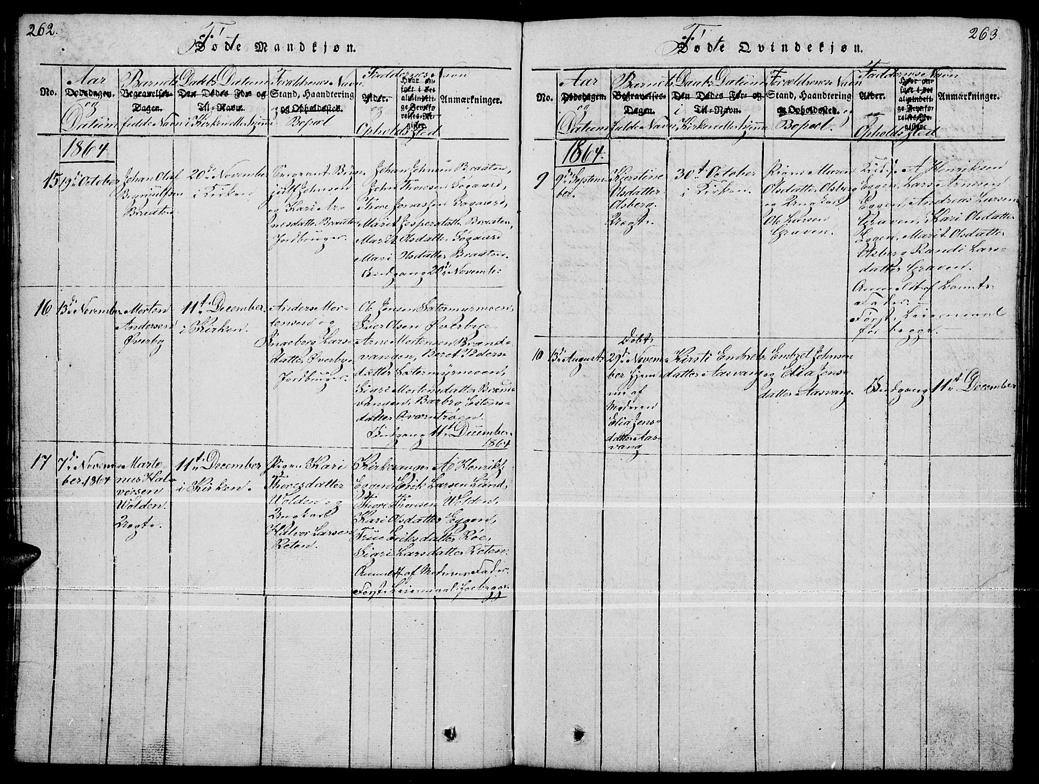 Tynset prestekontor, SAH/PREST-058/H/Ha/Hab/L0004: Parish register (copy) no. 4, 1814-1879, p. 262-263