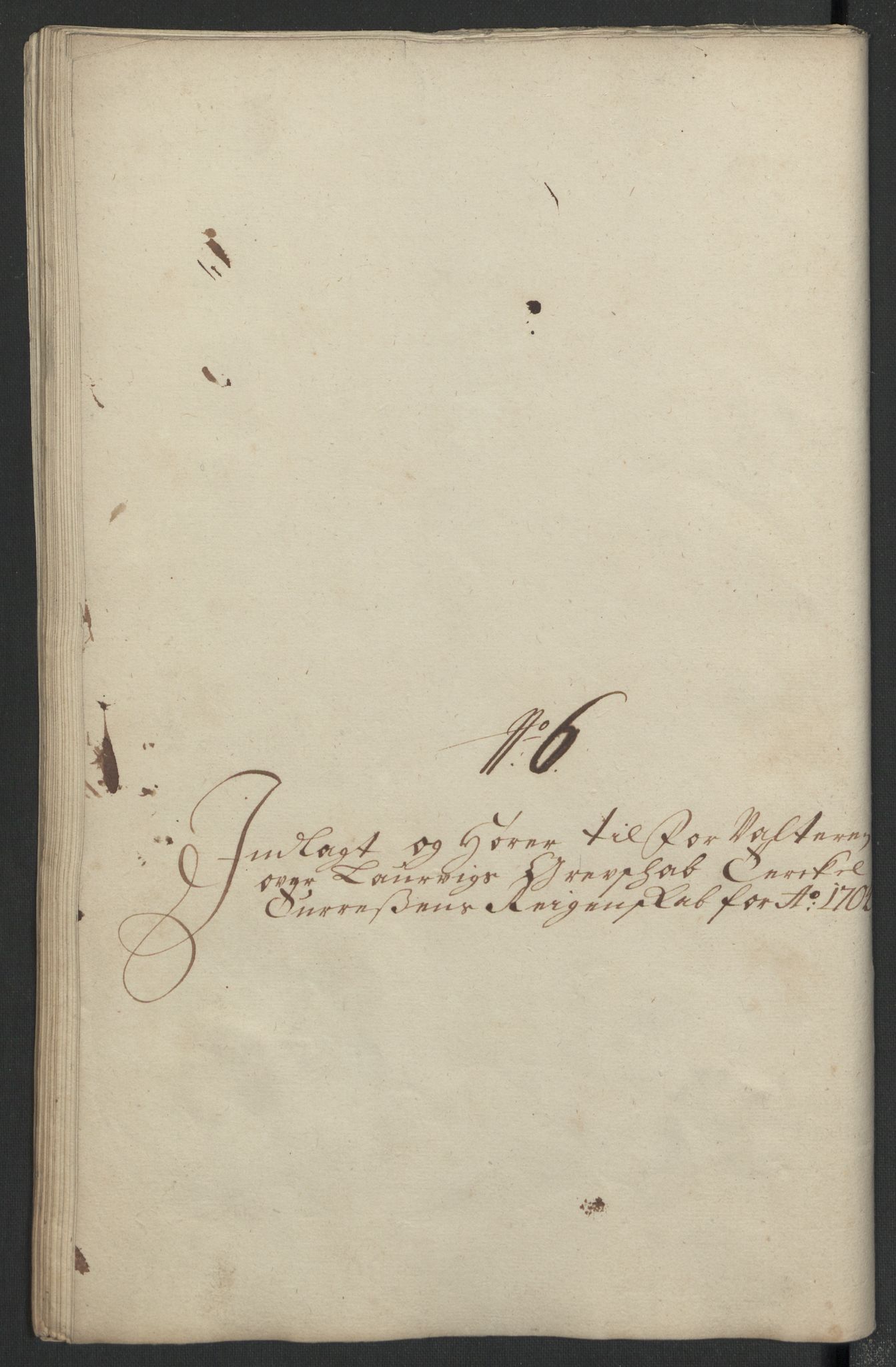 Rentekammeret inntil 1814, Reviderte regnskaper, Fogderegnskap, RA/EA-4092/R33/L1978: Fogderegnskap Larvik grevskap, 1704-1705, p. 200