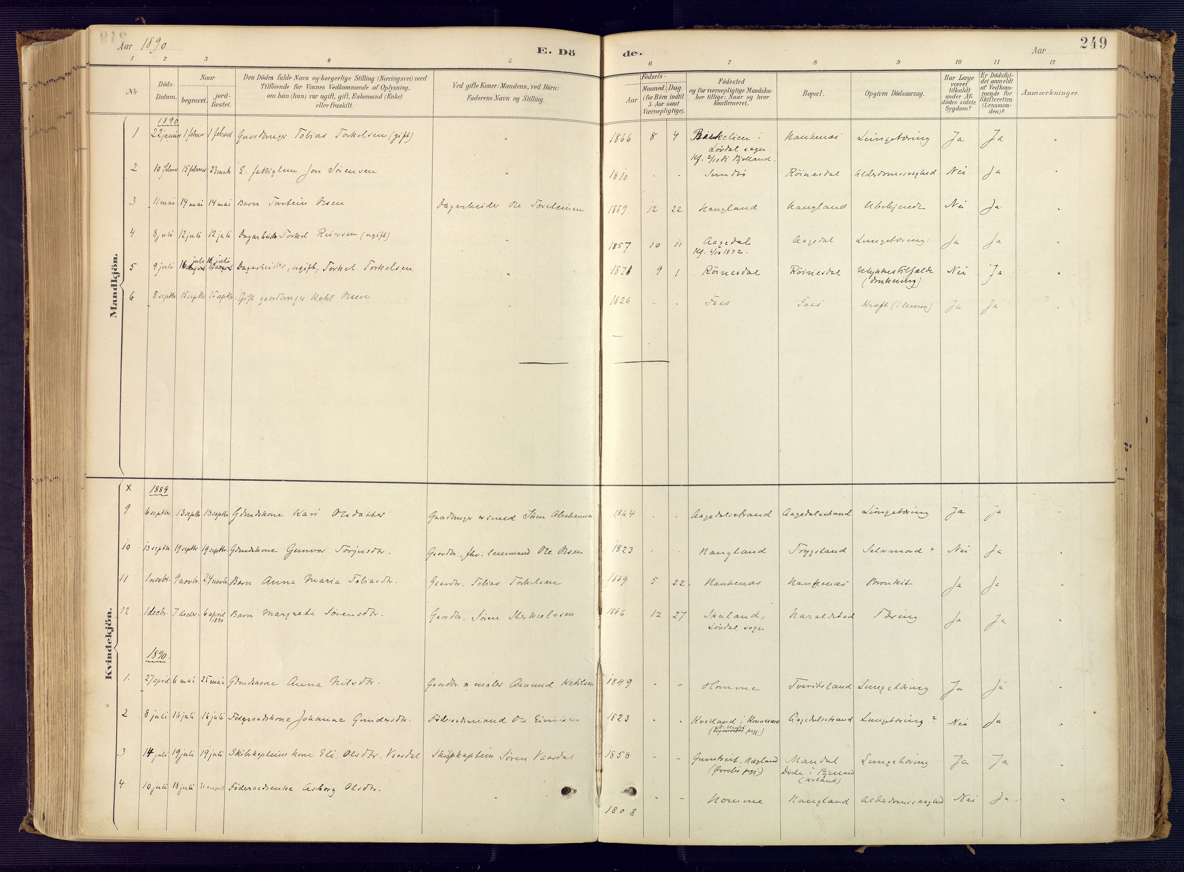 Bjelland sokneprestkontor, SAK/1111-0005/F/Fa/Faa/L0004: Parish register (official) no. A 4, 1887-1923, p. 249