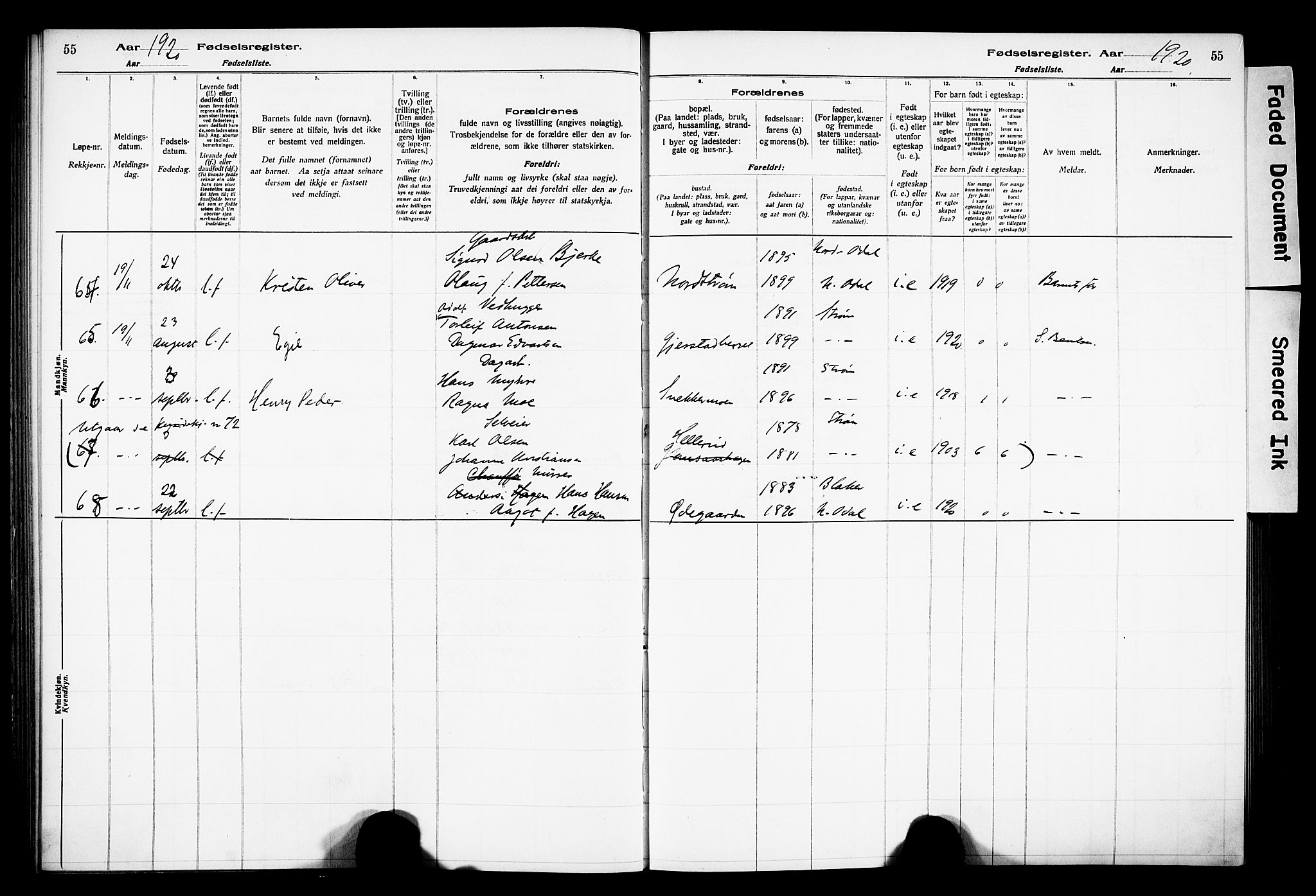 Sør-Odal prestekontor, AV/SAH-PREST-030/I/Id: Birth register no. 1, 1916-1931, p. 55