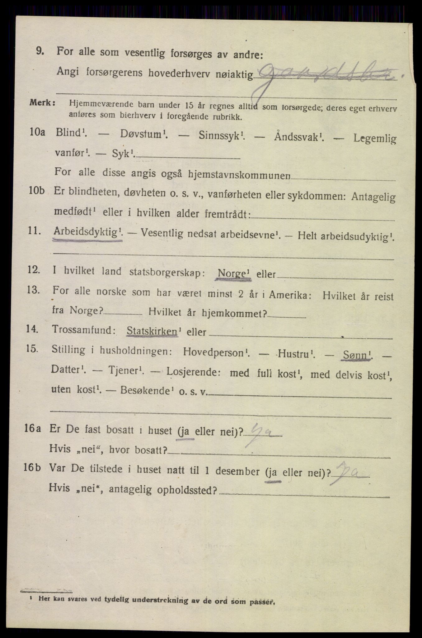 SAK, 1920 census for Øvre Sirdal, 1920, p. 528